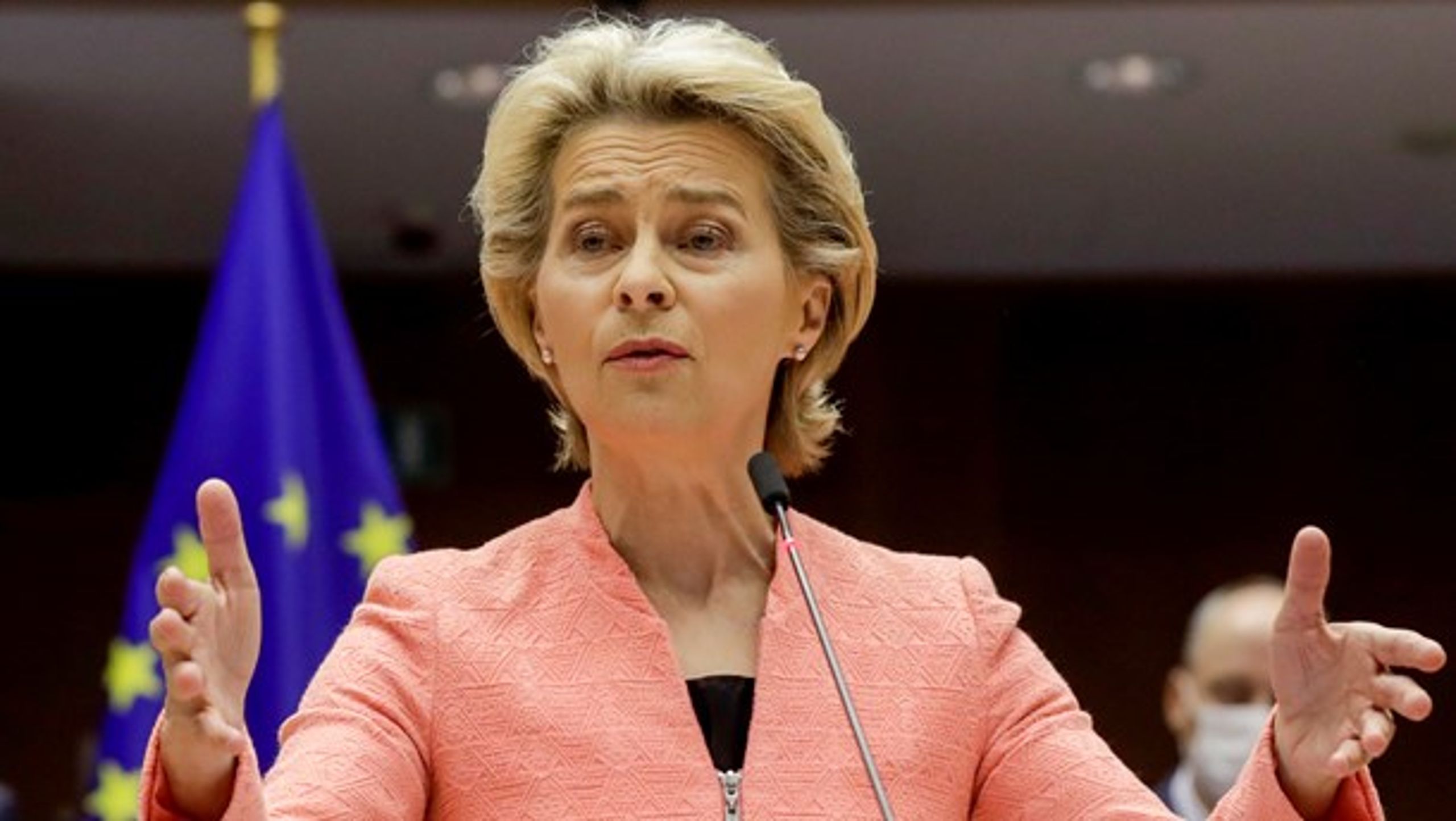 Ursula von der Leyen glemte i sin tale om EU's tilstand at berøre det civilsamfund, der er under pres i særligt Polen og Ungarn, skriver Lone Loklindt, formand for Nyt Europa.