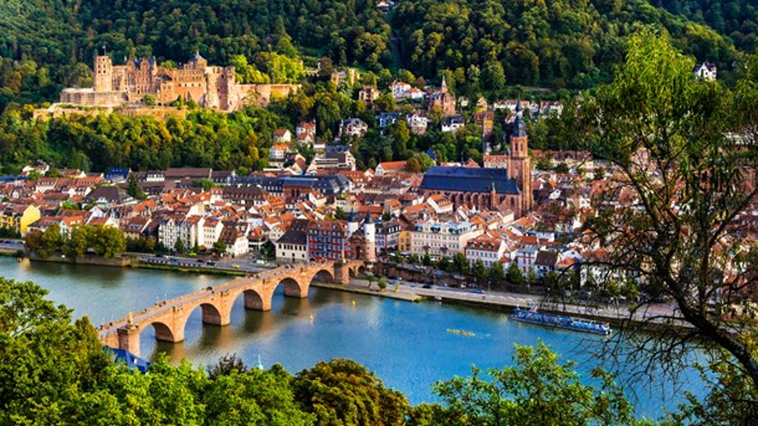 Det er ikke nyt at investere i forskning i Baden-Württemberg. Universitetet i Heidelberg blev grundlagt i 1386.&nbsp;
