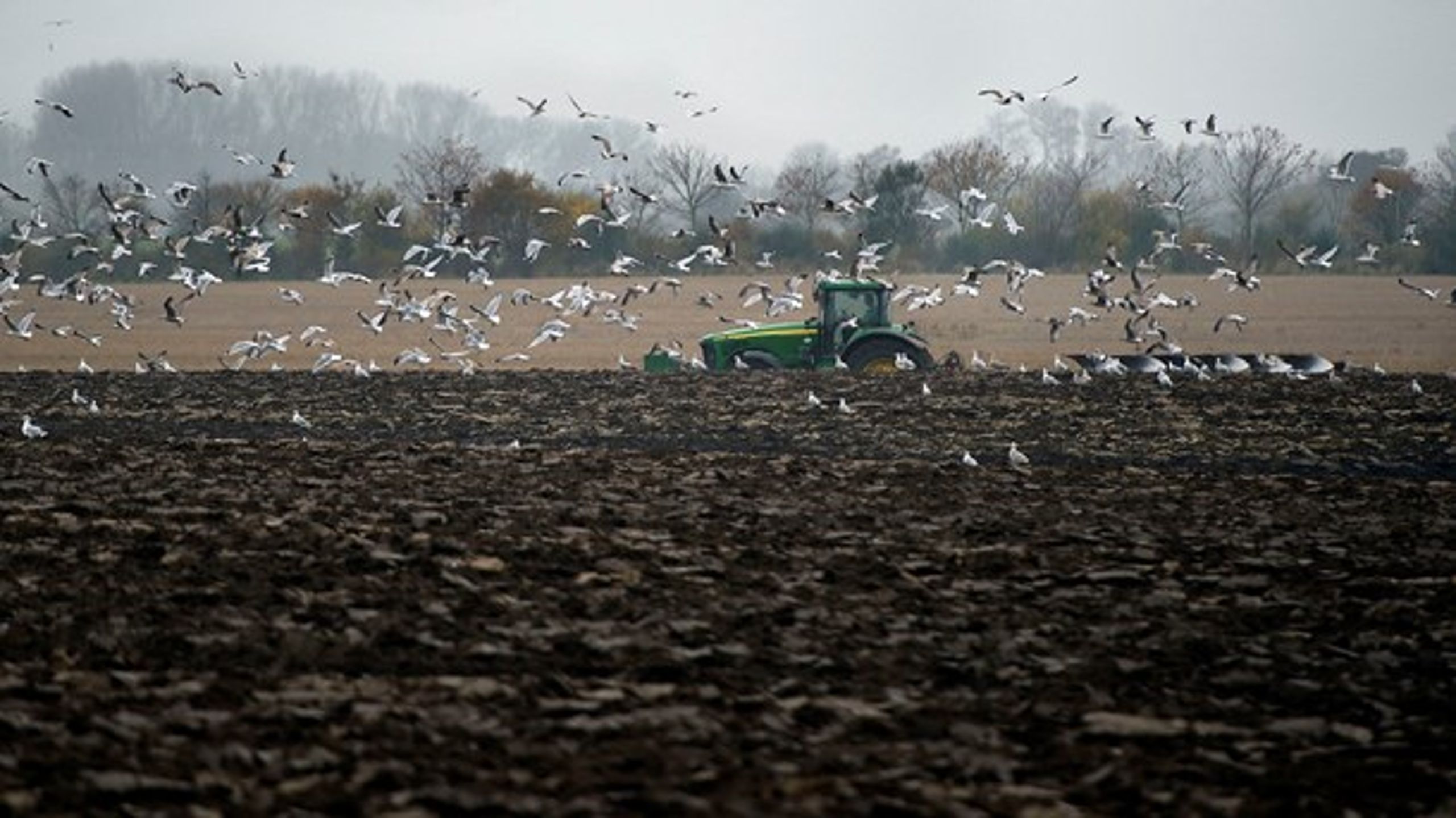 Udtag af klimaskadelig landbrugsjord har ifølge regeringen slet ikke det potentiale, mange havde troet.