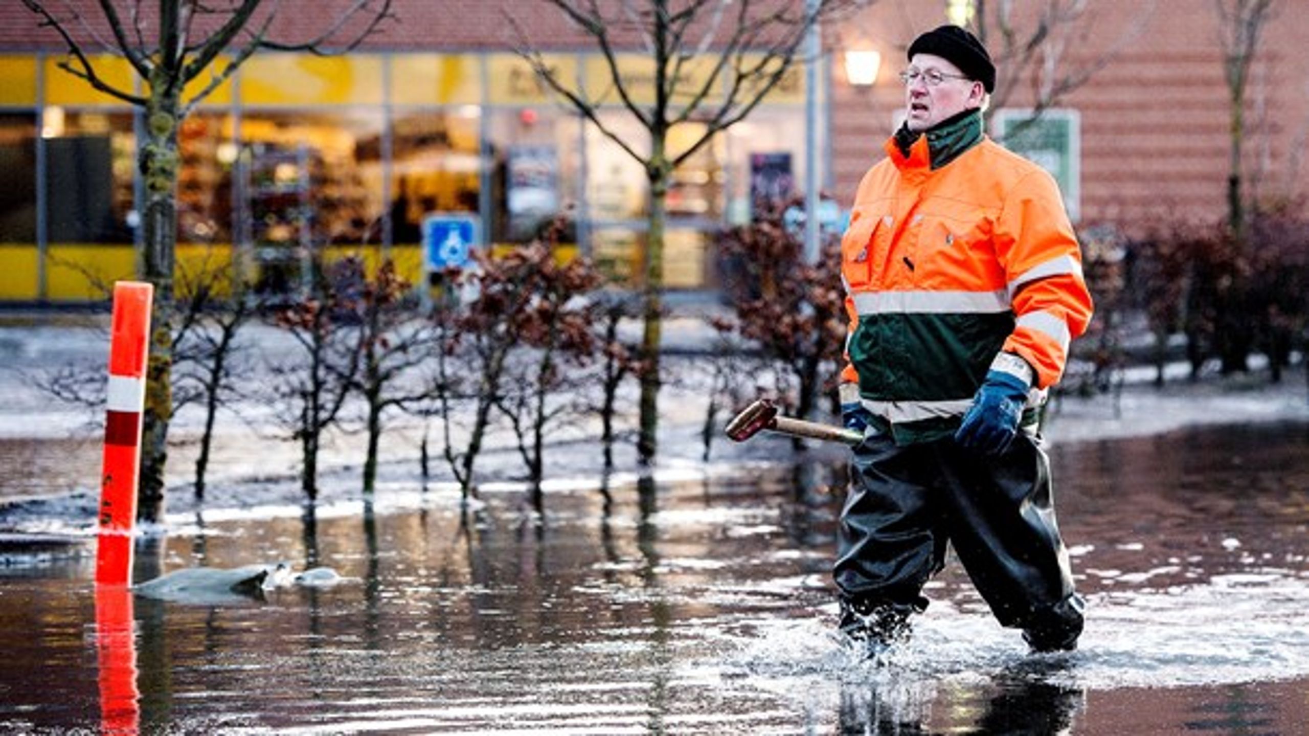 Staten skal give kommunerne en hjælpende hånd med klimatilpasning og forebyggelse af oversvømmelser som her i Stege i 2017. Det mener Radikale, som vil afsætte 250 millioner kroner til formålet.