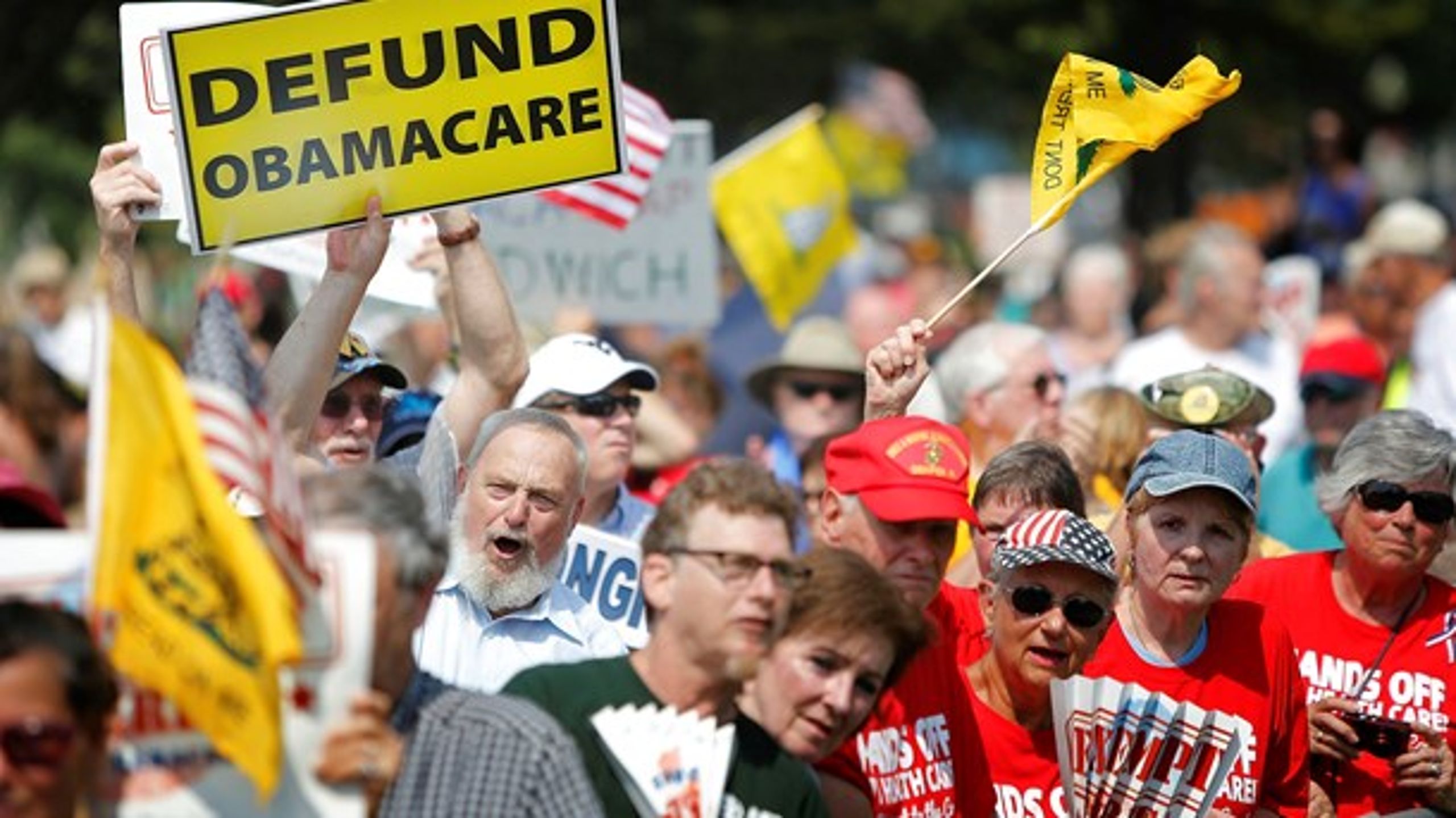Medlemmer af Tea Party-bevægelsen demonstrerer imod Obamacare foran Kongressen i Washington D.C.&nbsp;i 2013