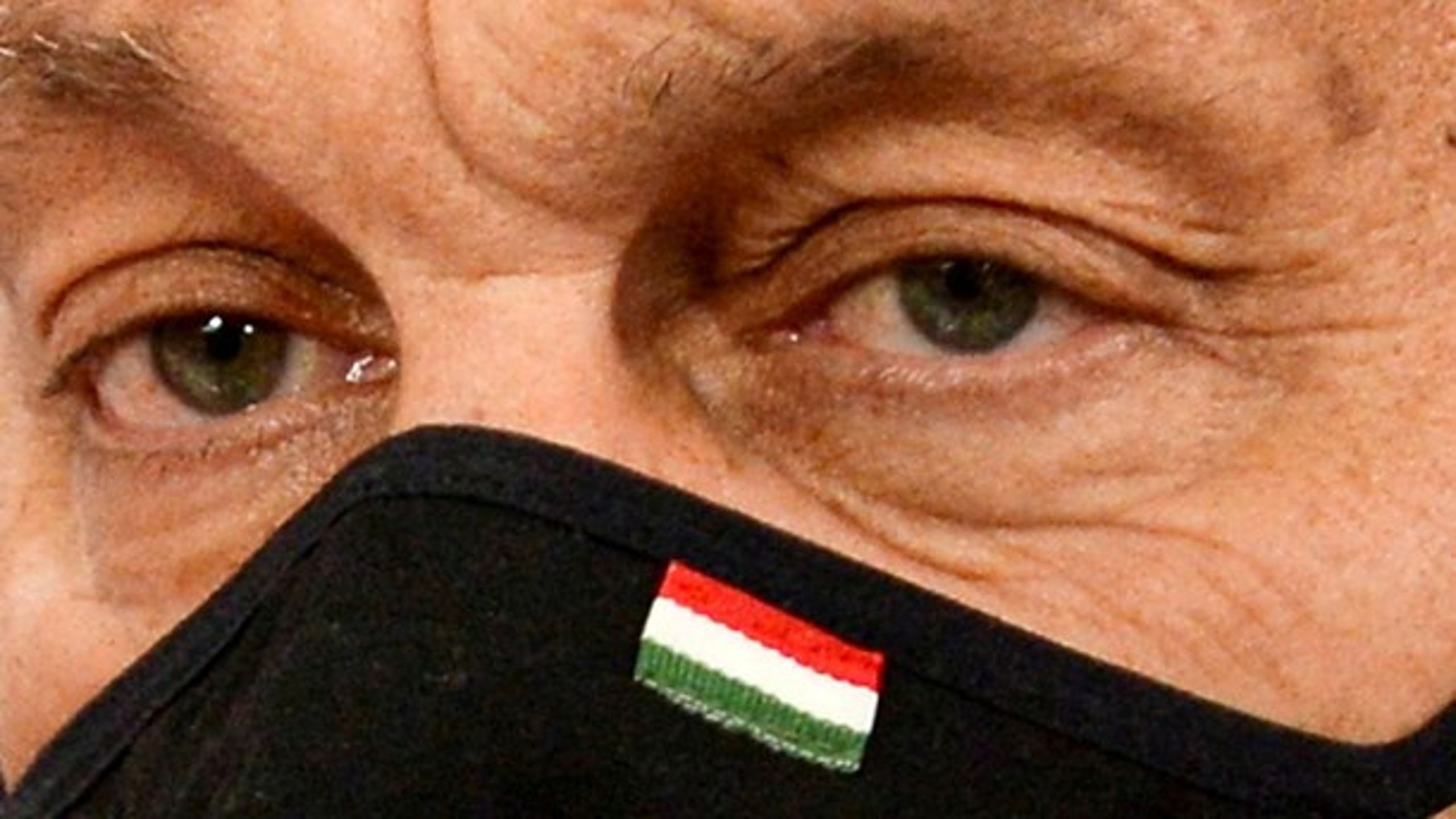 Den ungarske leder, Viktor Orban, vil ikke finde sig i EU's betingelser.