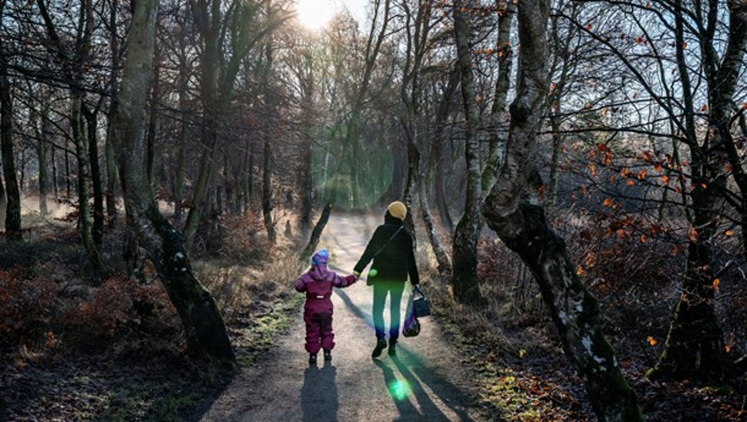 En tredjedel af Danmarks børn har aldrig klatret i et træ i skoven, skriver&nbsp;Jens Øyås Møller og Jakob Færch.