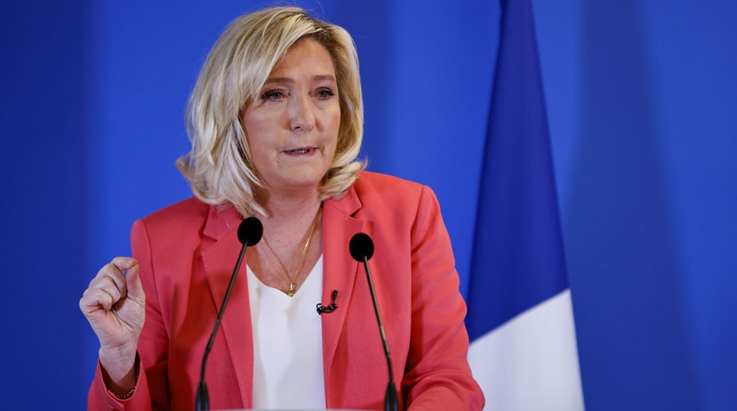 Marine Le Pen stillede i 2017 op til&nbsp;det franske præsidentvalg. I&nbsp;anden valgrunde fik hun 33,9 procent af stemmerne og tabte til Emmanuel Macron.