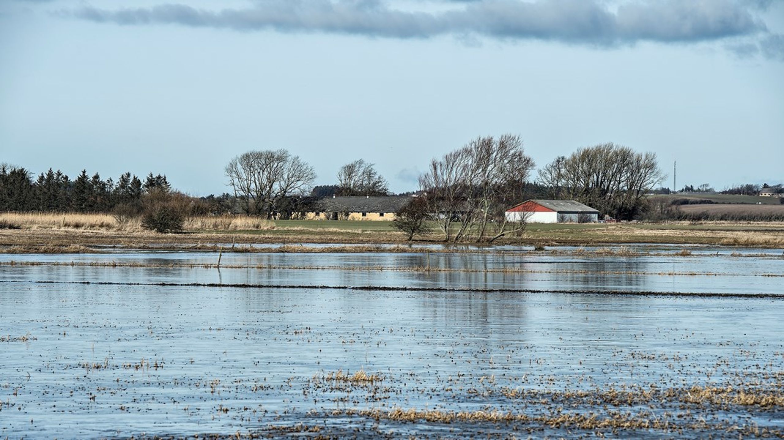 Danmark har et blindt punkt for miljøfarlige stoffer i vandmiljøet, skriver Mette Boye.