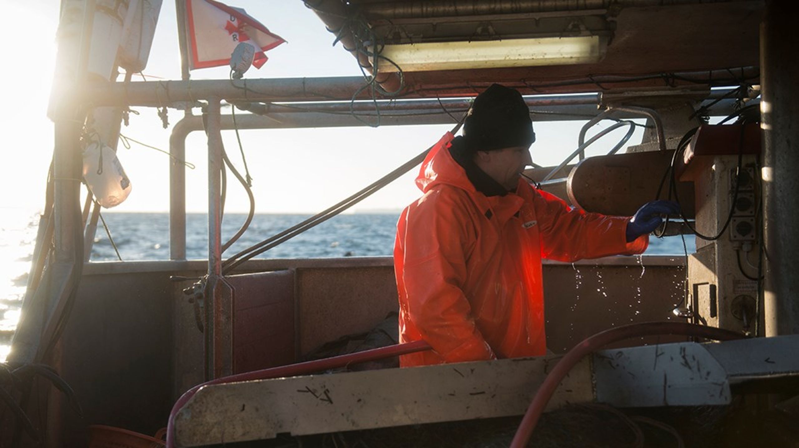 Danske erhvervsfiskere er nu i mål med deres del af indsatsen for at genoprette ålebestanden, skriver Søren Jacobsen.