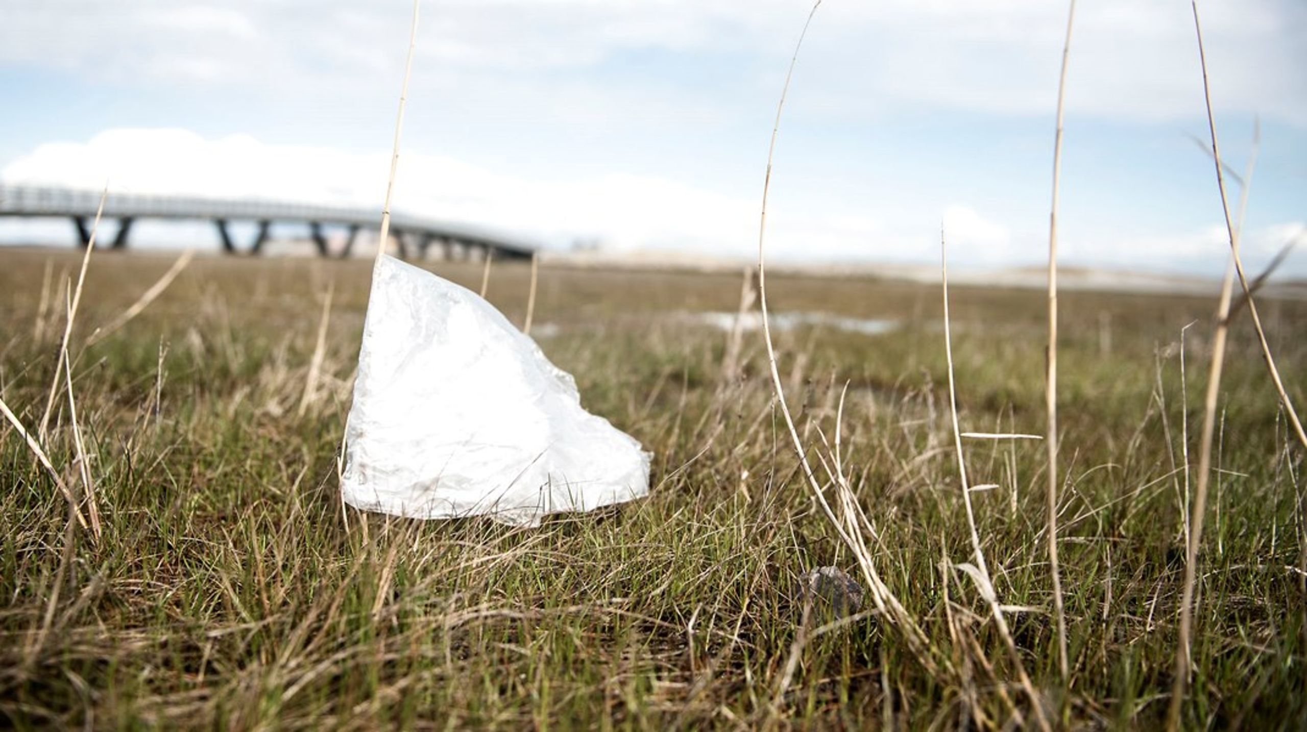 Nyt lovforslag vil indføre tre nye ordninger for udvidet producentansvar for at bekæmpe plastik i naturen.