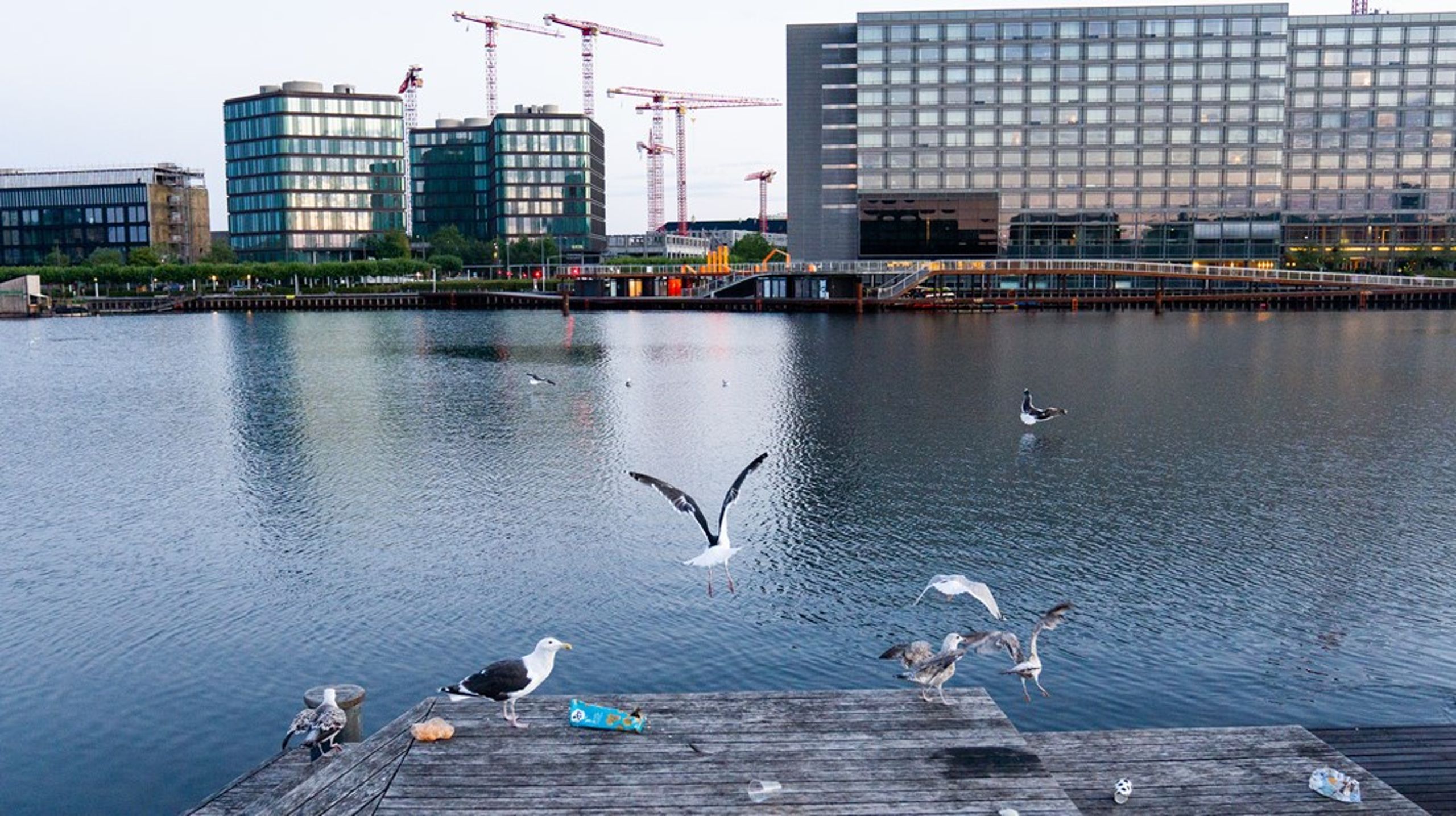 "Vi skal have nedbragt trængslen og omstillet til mere grøn mobilitet. Men vi skal mere end det, hvis vi vil luftforureningen til livs i København," skriver Mette Annelie Rasmussen (R).