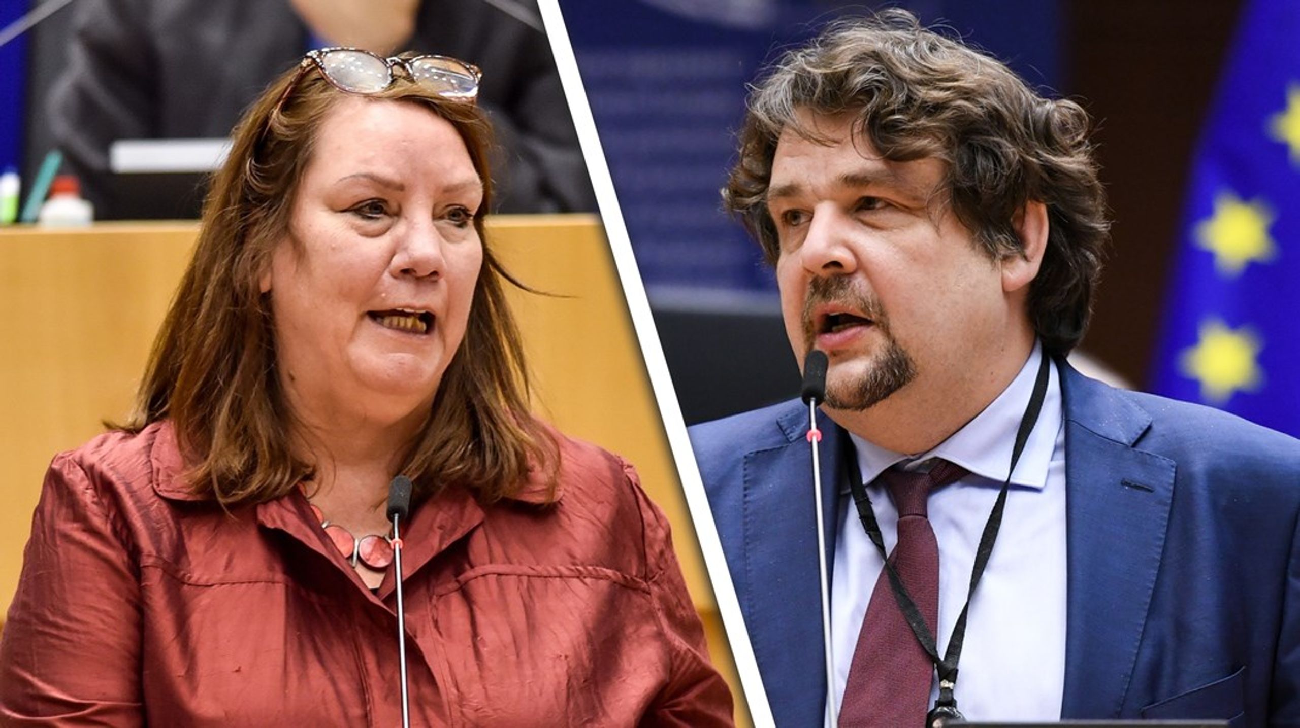 Hollandske socialdemokratiske Agnes Jongerius og tyske konservative Dennis Radtke skal forsøge at styre et nyt forslag om mindsteløn sikkert gennem Europa-Parlamentet.