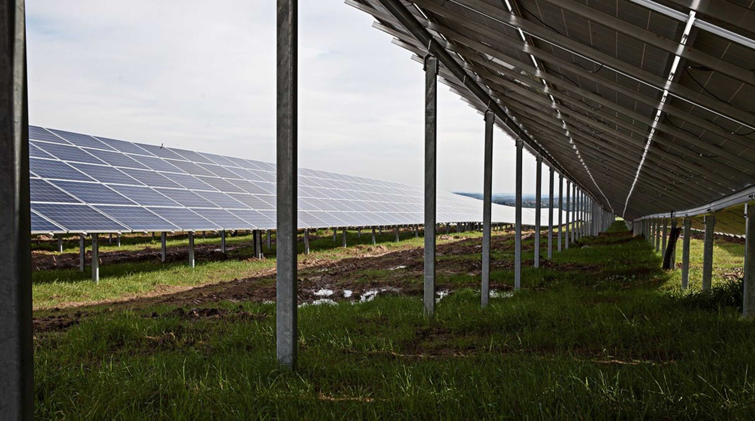 Energilandskaber i form af solcellemarker bliver
i de kommende år en stigende del af den grønne omstilling: Derfor er det
vigtigt, at vi på samfundsniveau får størst udbytte af investeringerne, skriver de fire forfattere bag debatindlægget.&nbsp;