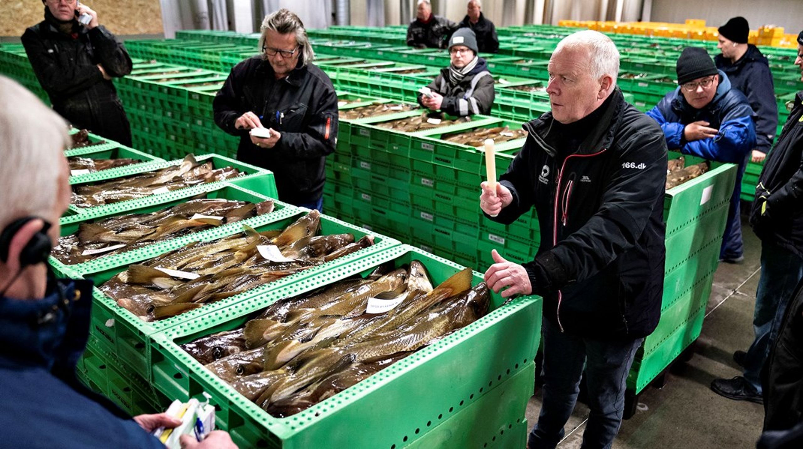 Lukker man blindt 30 procent af havet for trawlfiskeri, bliver der fisket endnu mere i andre områder, og det kommer der altså ikke flere fisk i havet af, skriver Svend-Erik Andersen.