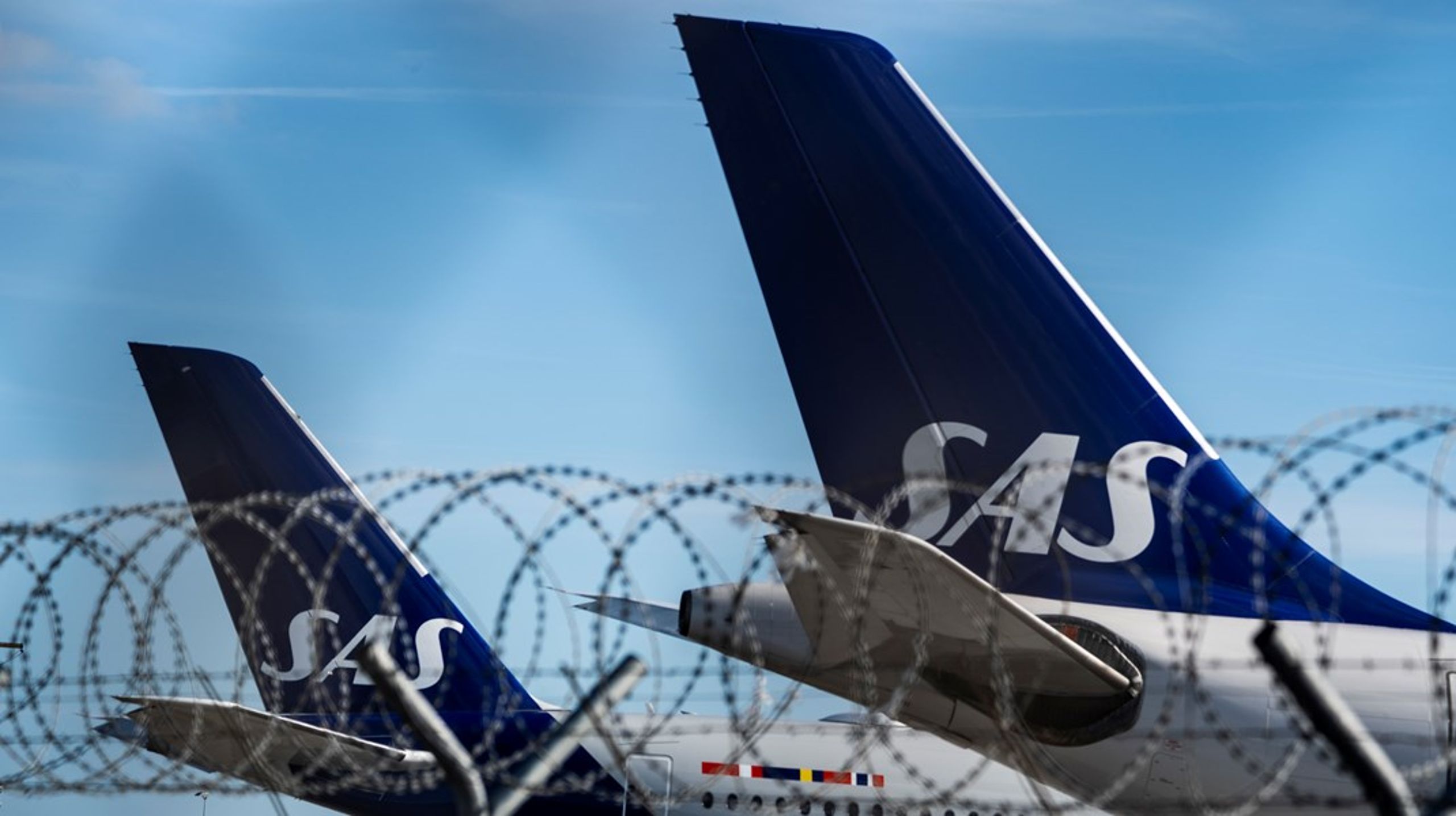 Luftfartselskabet SAS har fået en ny direktør.