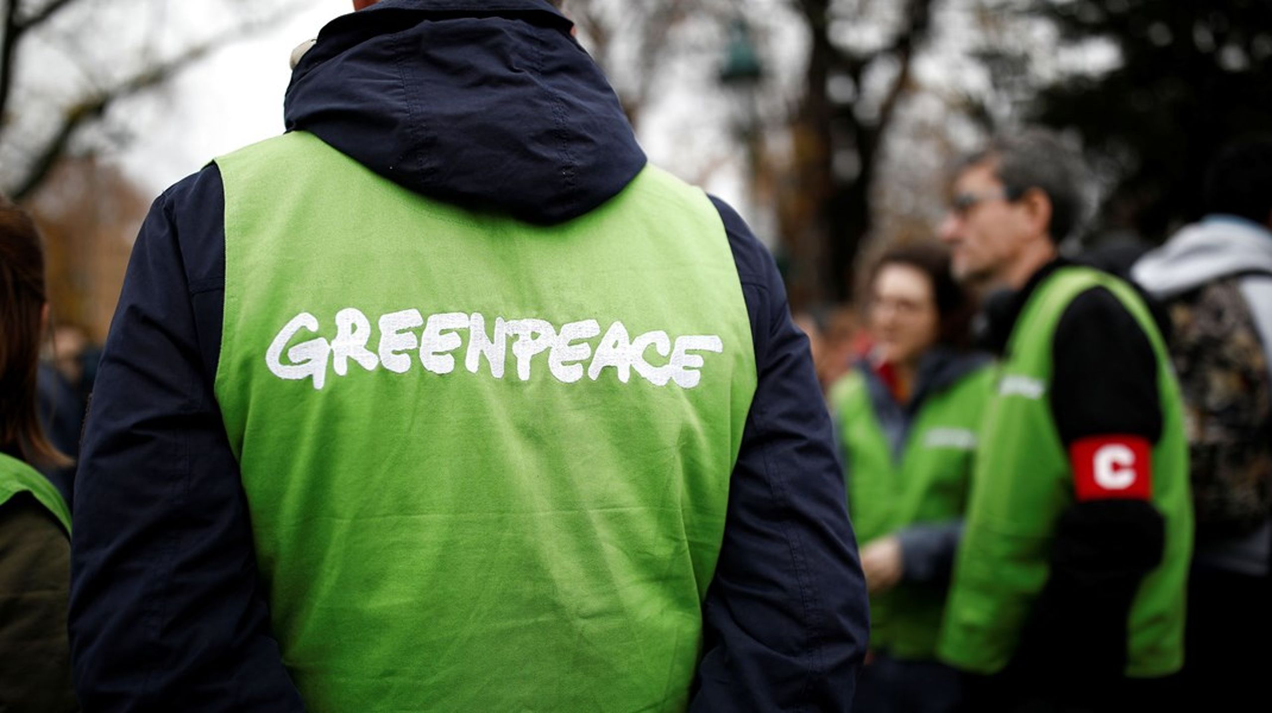 Det Europa, vi i Greenpeace forestiller os, handler ikke udelukkende om at få implementeret reduktionskurver mod netto-nul og at undgå temperaturstigninger højere end den politisk vedtagne smertegrænse på 1,5 grader.