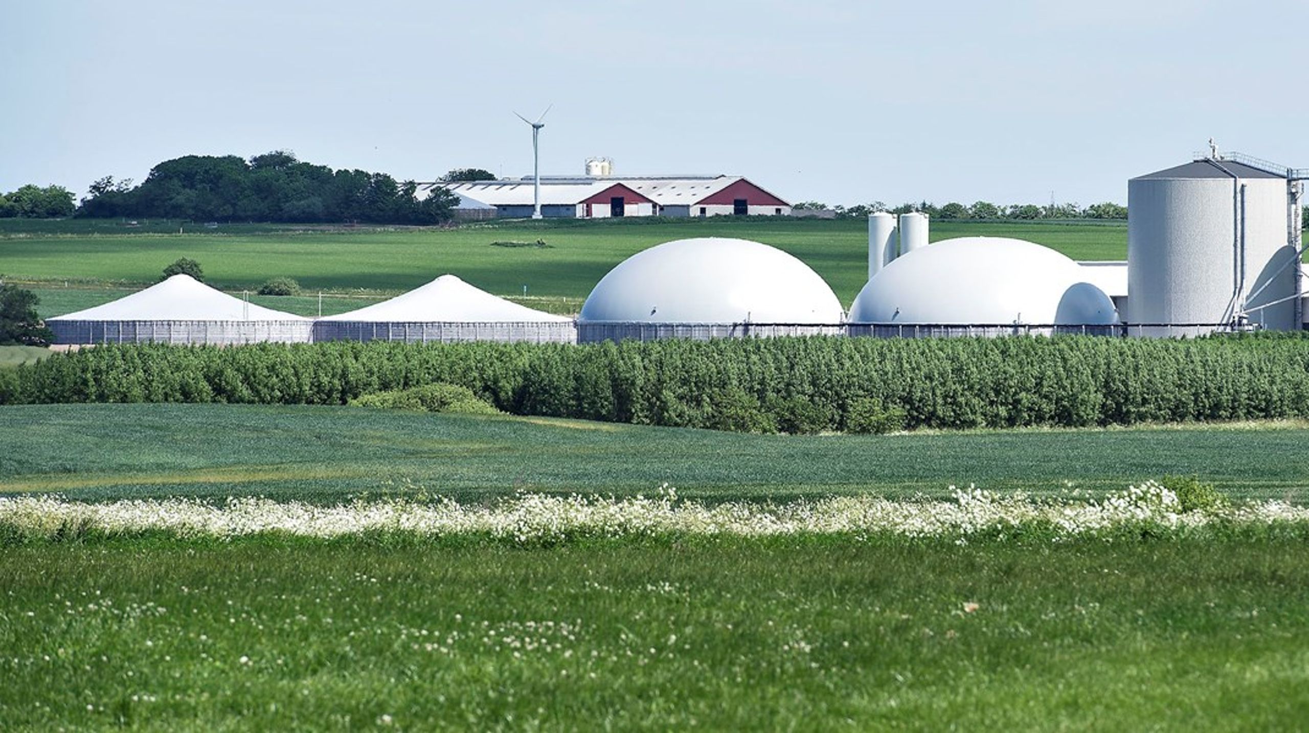 Statens regning for støtte til biogas vokser sig nu til cirka fire milliarder kroner årligt. ARKIVFOTO
