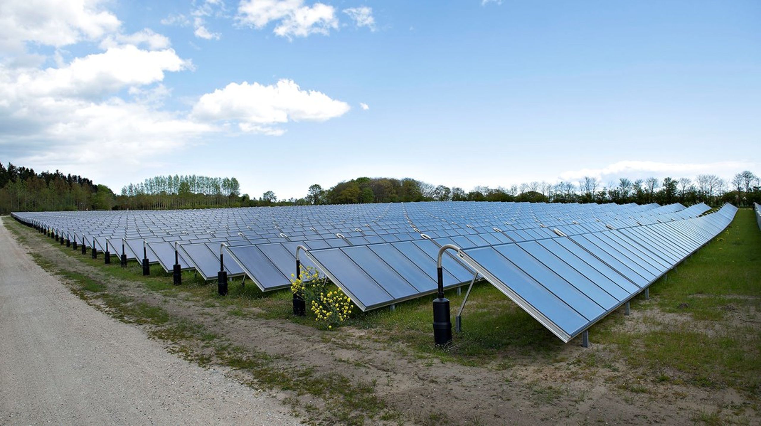 Solcellebranchen&nbsp;er gået sammen i en ny brancheforeningen kaldet Dansk Solkraft.