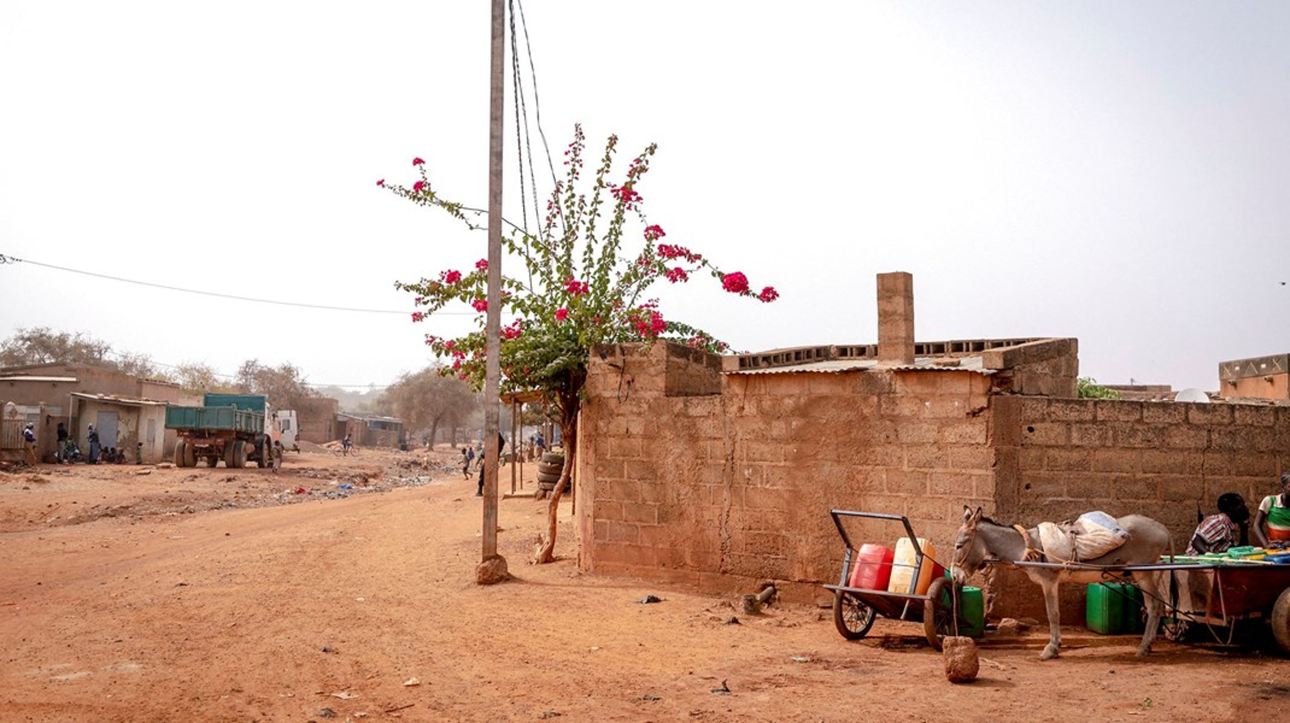 Arkivfoto: Kaya-provinsen, Burkina Faso, 2020.<br>