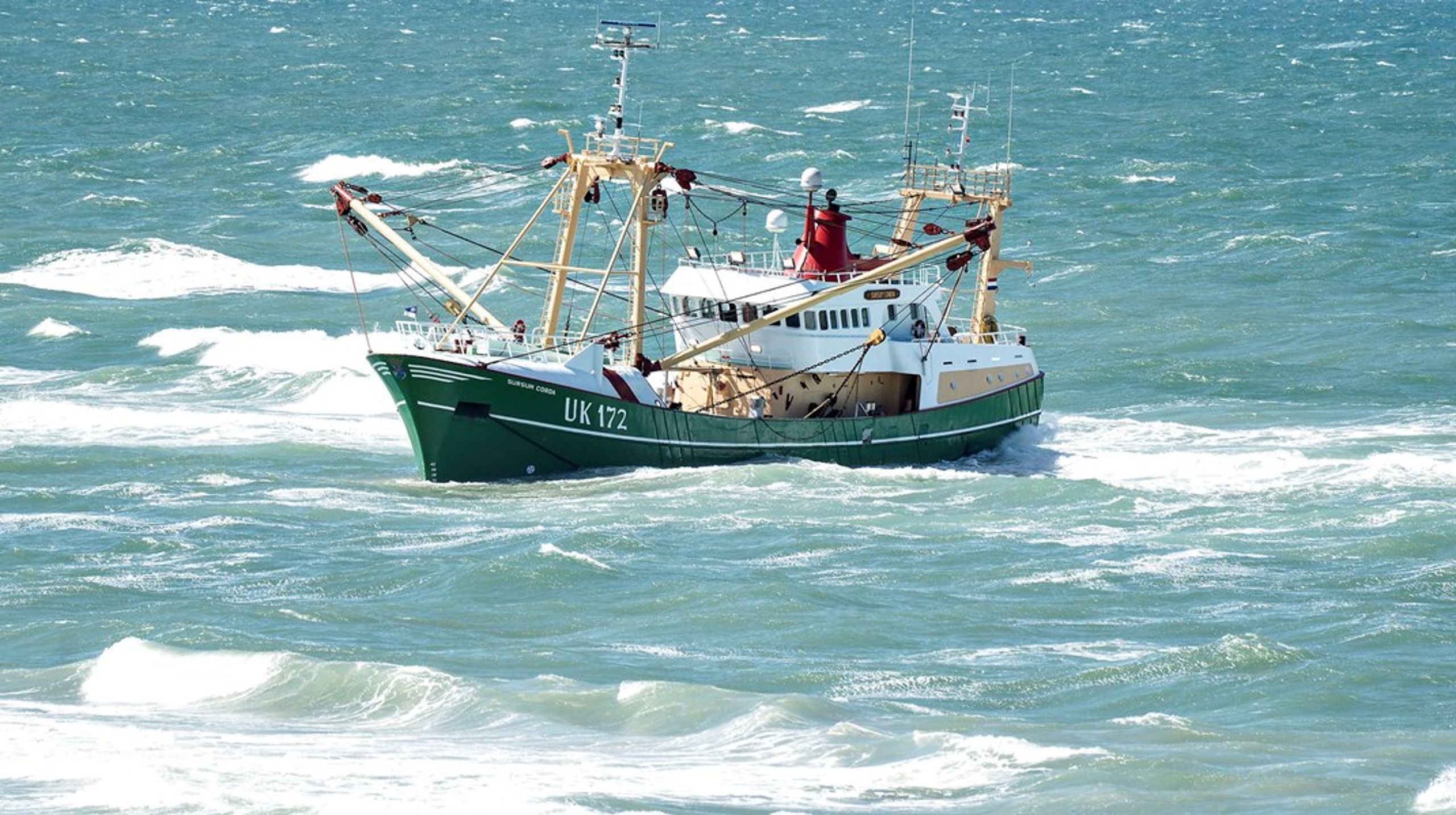 EU Kommissionen foreslår - efter rådgivning fra en række forskere - at reducere kvoten for fiskeri af torsk i den vestlige del af Østersøen med 92 procent næste år.&nbsp;