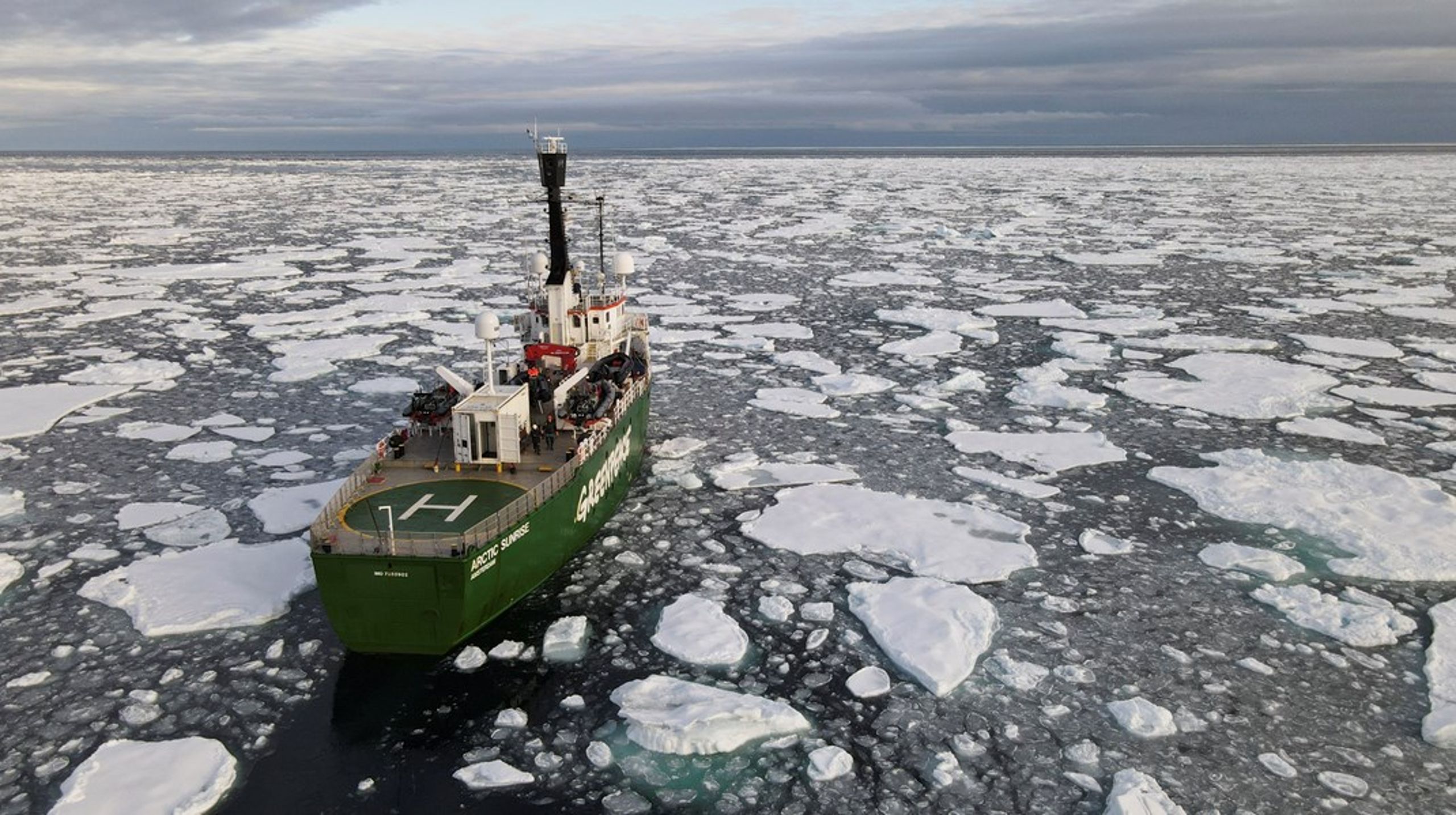 Feltarbejde i Arktis er som sagt ofte en kompliceret logistisk operation, der involverer leje af helikopter, fly eller skibe, skriver Christine Schøtt Hvidberg.