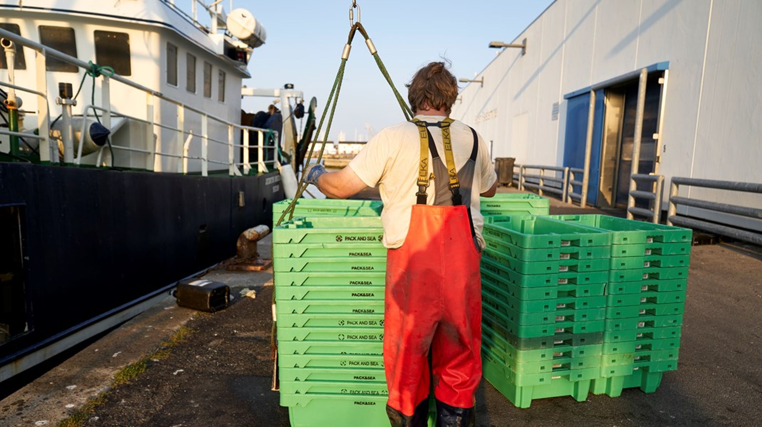 Jo før eventuelle nye krav kan komme på plads, desto bedre er fiskernes muligheder for at tilpasse sig kravene, så fiskeriet kan fortsætte ved årsskiftet, skriver Svend-Erik Andersen.