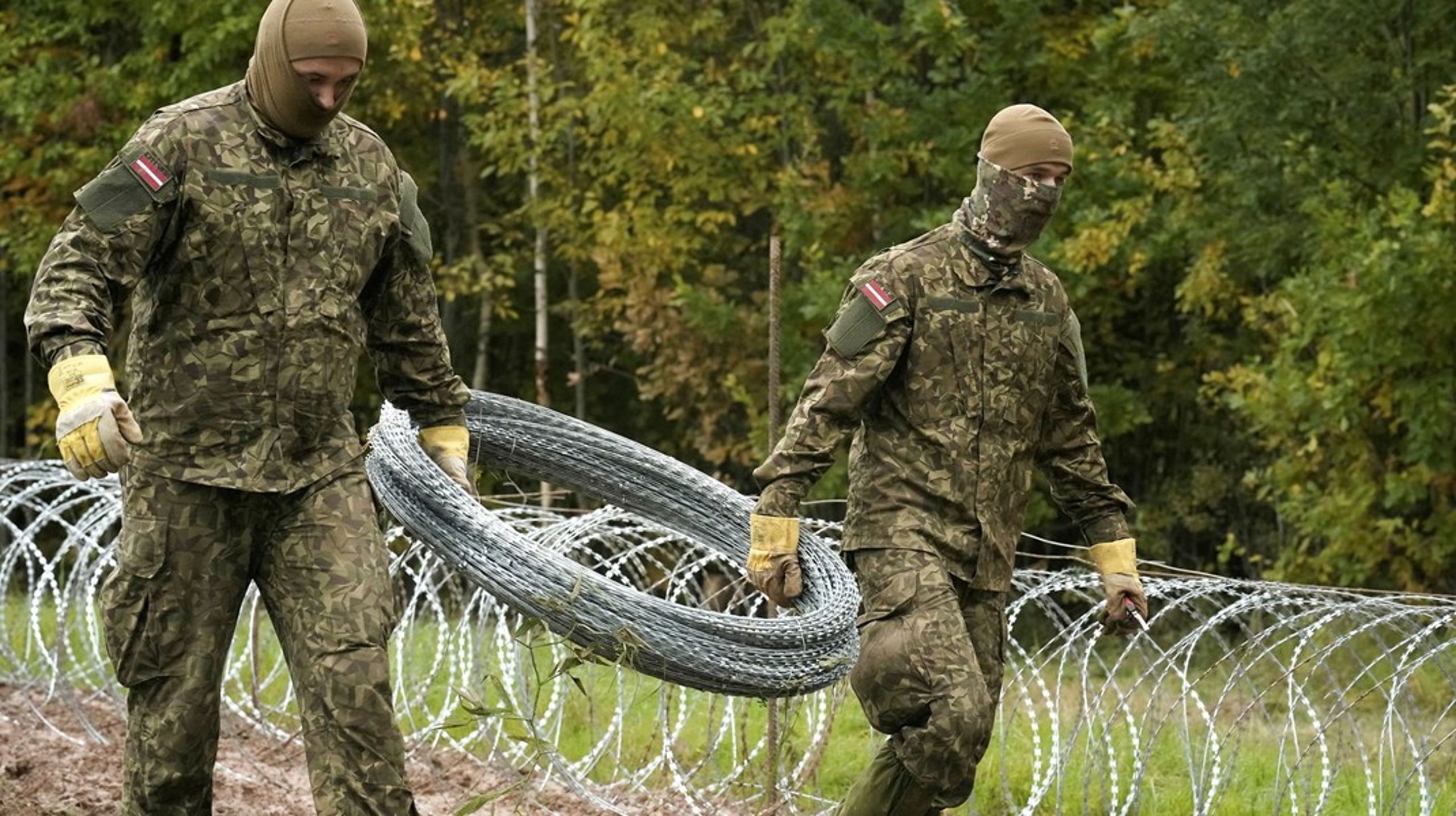 Tjenestemænd fra det lettiske militær opsætter pigtråd ved grænsen til Belarus, september 2021.
