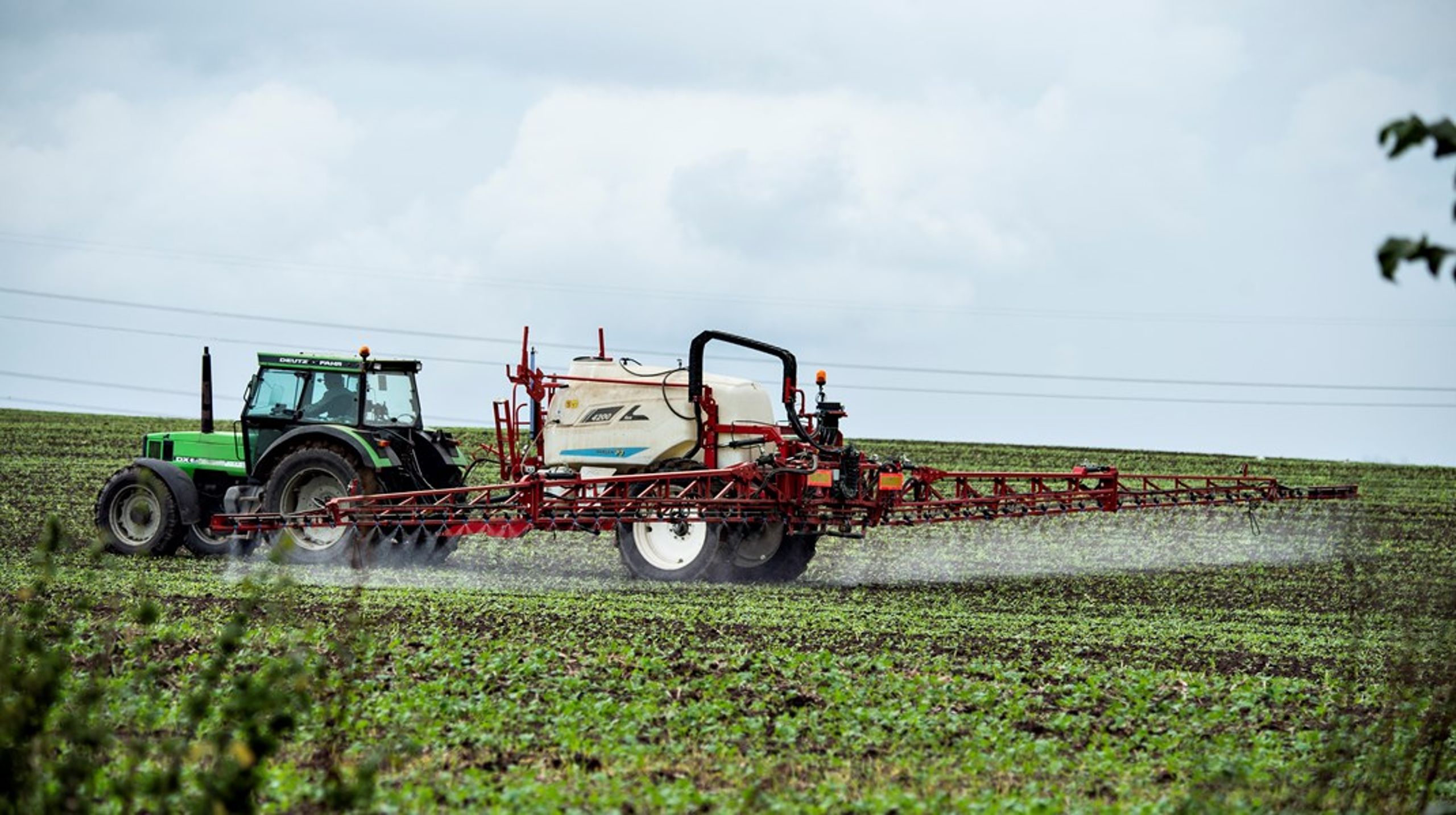 EU har en målsætning om, at landbrugets pesticidforbrug skal halveres inden 2030. Men EU's langsommelige godkendelsesprocedurer kan spænde ben for ny teknologi, skriver en række landbrugsvirksomheder og -aktører.
