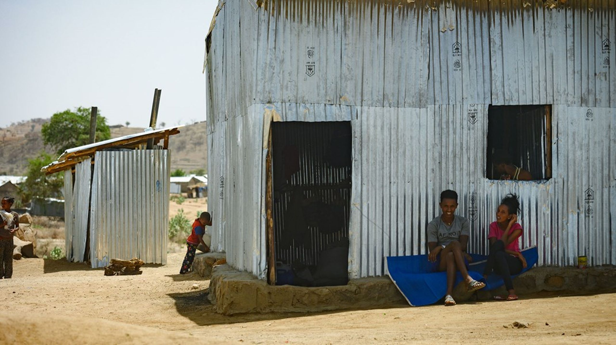 Etiopien, der lige nu er plaget af en voldsom konflikt, prioriterer grønne indsatser højt. Det giver god mening, når man kender landets omstændigheder, skriver&nbsp;Anne Smith Petersen. Arkivfoto.