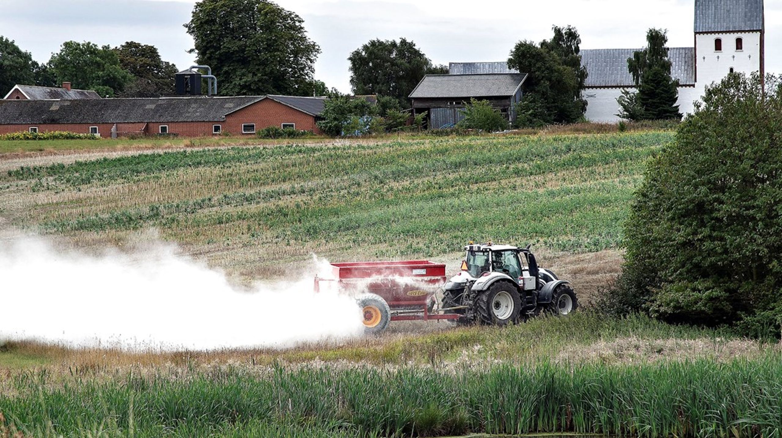 En ny pesticidstrategi bør styrke udvikling og afsætning af biologiske plantebeskyttelsesmidler, skriver Mona Juul.<br>