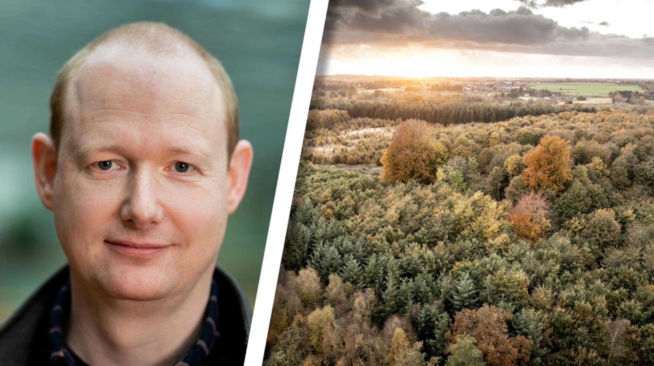 Fra 1. januar er Peter Kofod Kristensen ny formand for Skovrådet.