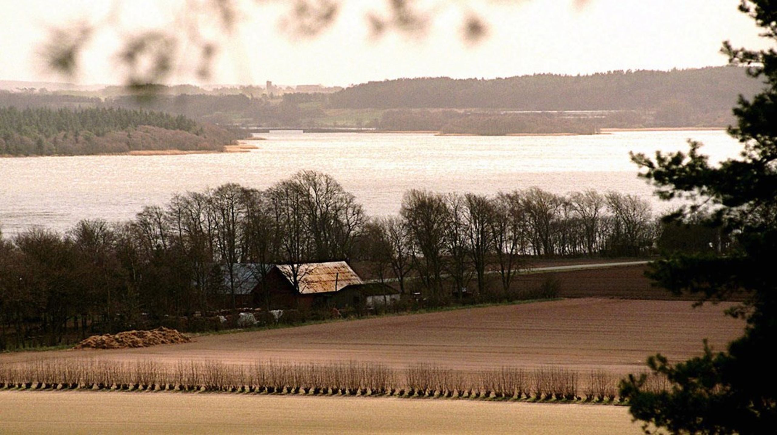 Tange Sø er Danmarks største kunstige sø.