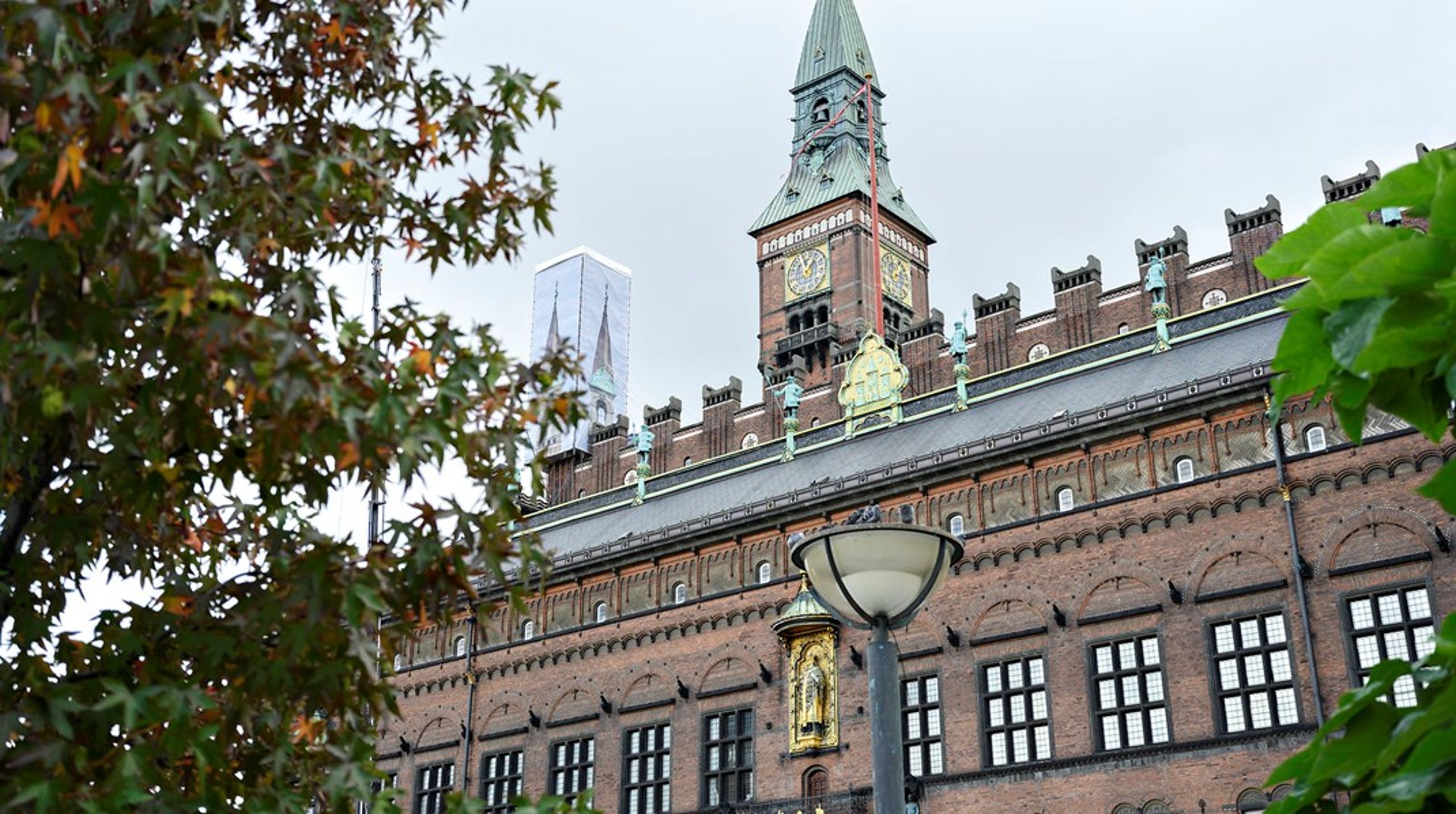 Amanda Justesen har i flere år haft sin gang på Københavns Rådhus.