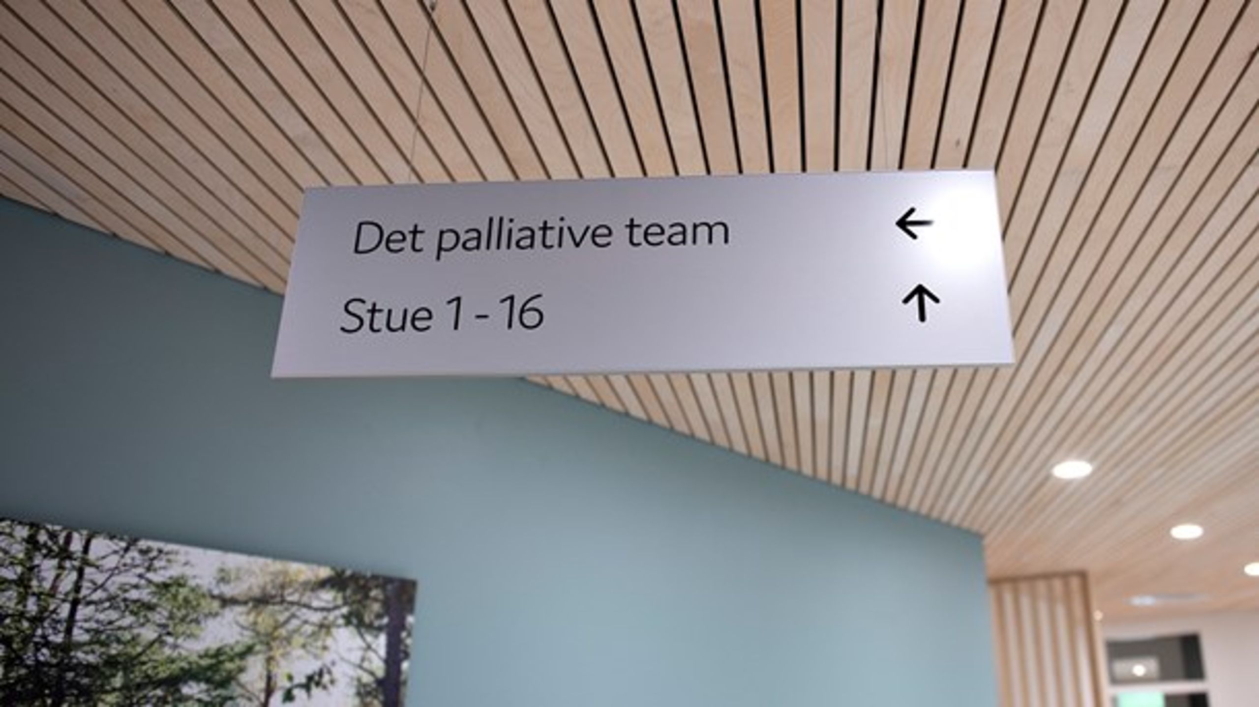 Palliation skal i fremtiden fylde mere i alle dele af sundhedsvæsenet, der behandler svækkede ældre eller terminalt syge patienter, mener Danske Regioner.