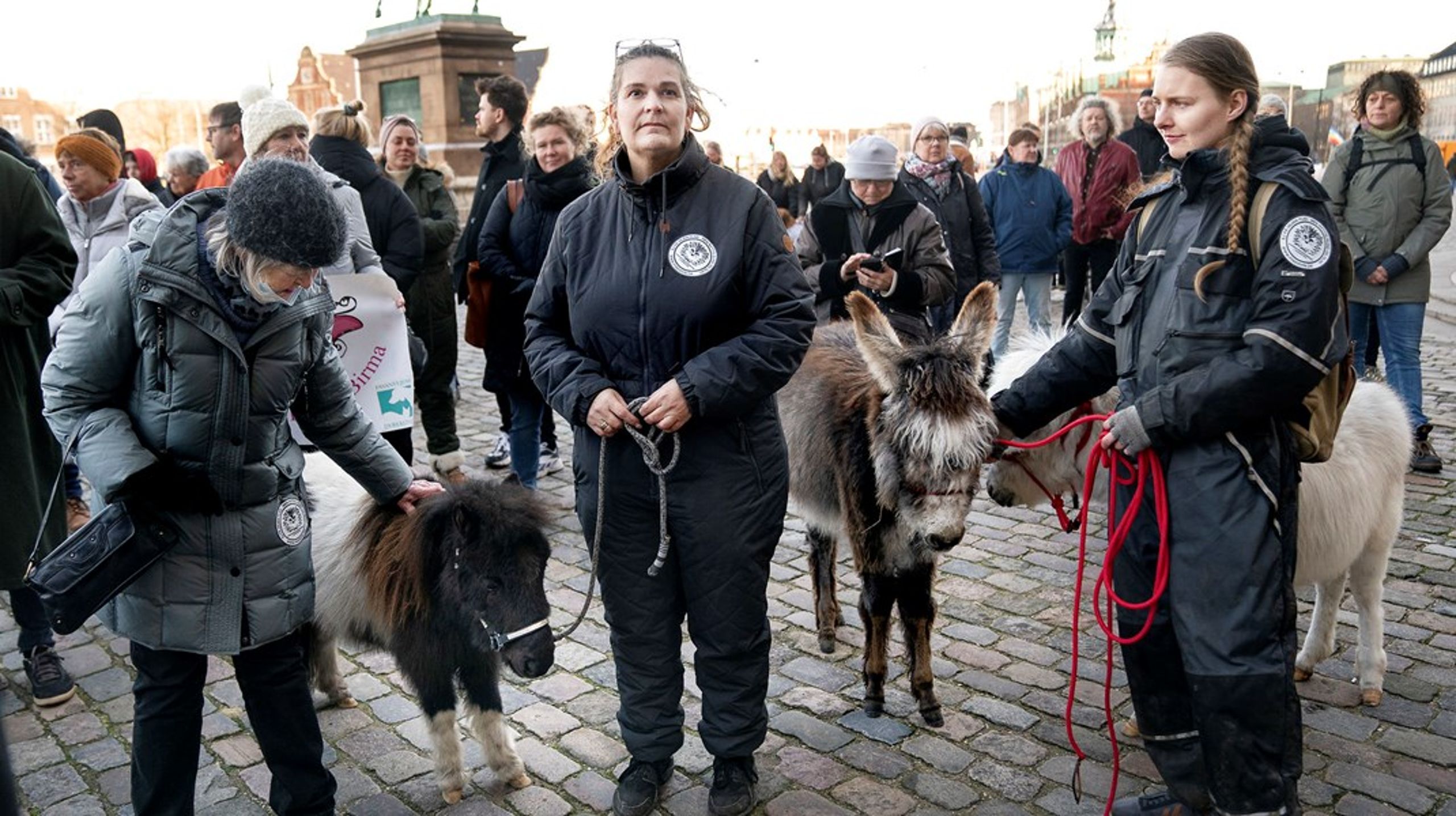 Vrede dyrlæger og kæledyrsejere luftede deres vrede og deres dyr på Christiansborg Slotsplads tirsdag over nye EU-regler.