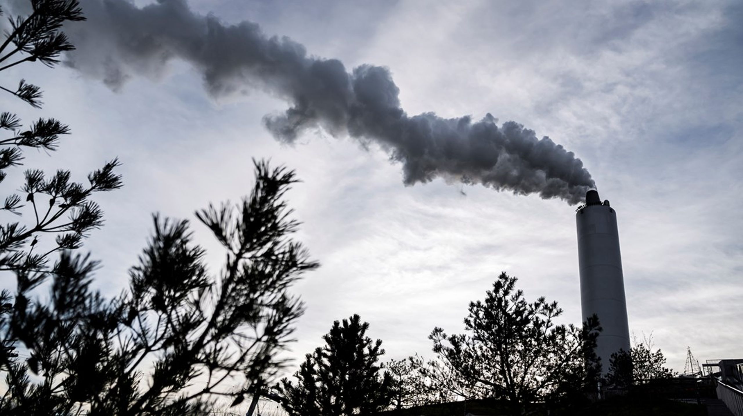 Træbiomasse udleder CO2, når den bliver brændt af, men det skal ses i forhold til alternativet, som i øjeblikket er at skrue op for de fossile brændsler, skriver Anders Frandsen, Steen Vincens Riber og Michael Sheedy Gehlert.