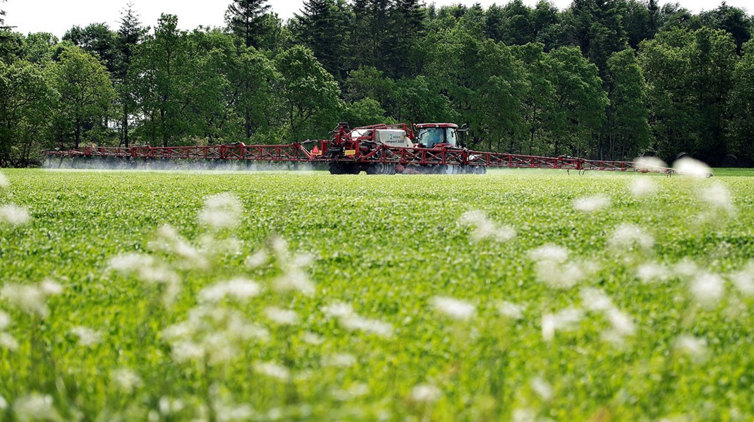 Flere medlemslande har ifølge den franske landbrugsminister foreslået, at man tager landbrugsarealer i brug, der med de eksisterende regler er taget ud af drift af miljøhensyn.