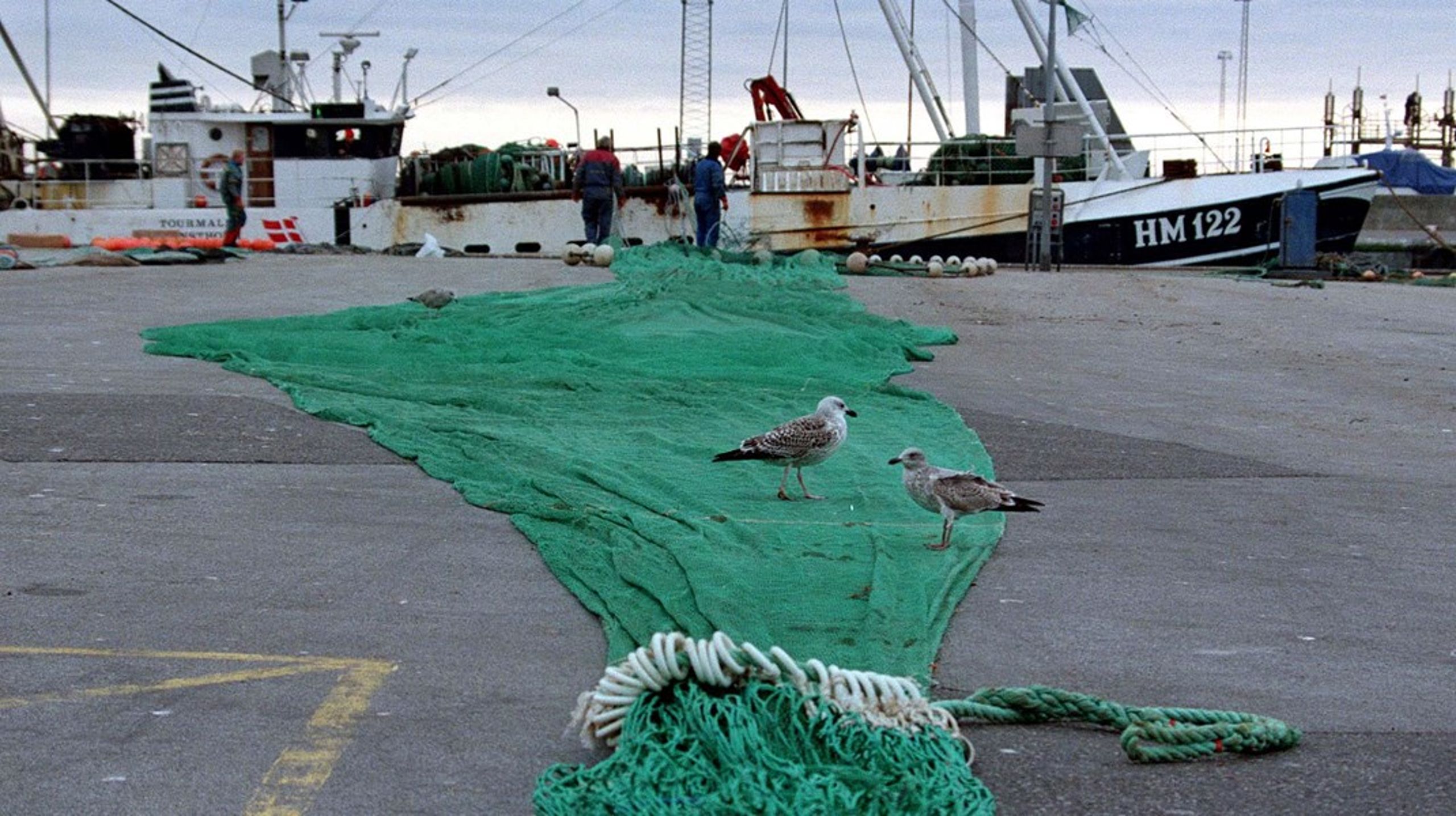 Det skal være slut med fiskeriets fornægtelser om bundtrawlets skadelige virkninger på havnaturen, skriver Søren Egge Rasmussen (Ø).