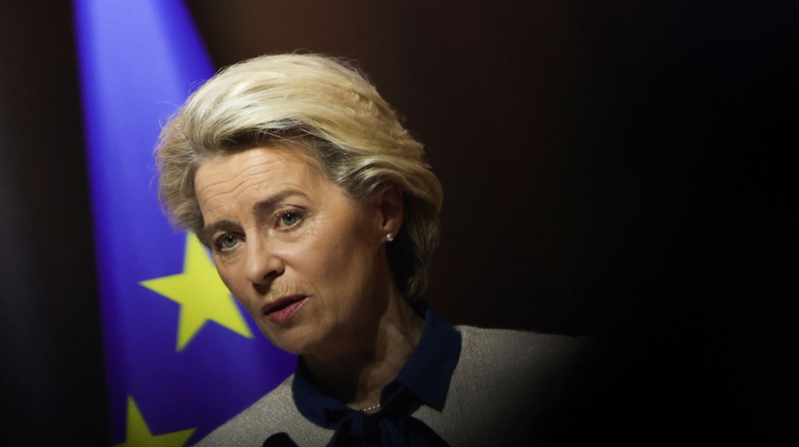 Da EU’s ledere på det uformelle rådsmøde på Versailles erklærede den fornødne fælles forsvarsvilje, opfordrede de samtidig kommissionen til inden maj at fremlægge en samlet plan for, hvordan EU i et langt hurtigere tempo kan frigøre sig fra importerede fossile brændsler, skriver Martin Lidegaard (R).