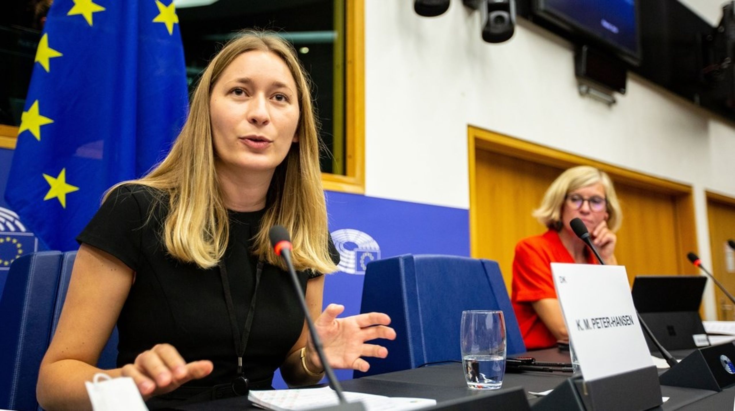 Danske Kira Marie Peter-Hansen fra De Grønne præsenterede torsdag sin betænkning om lønåbenhed i Europa-Parlamentets beskæftigelsesudvalg.&nbsp;