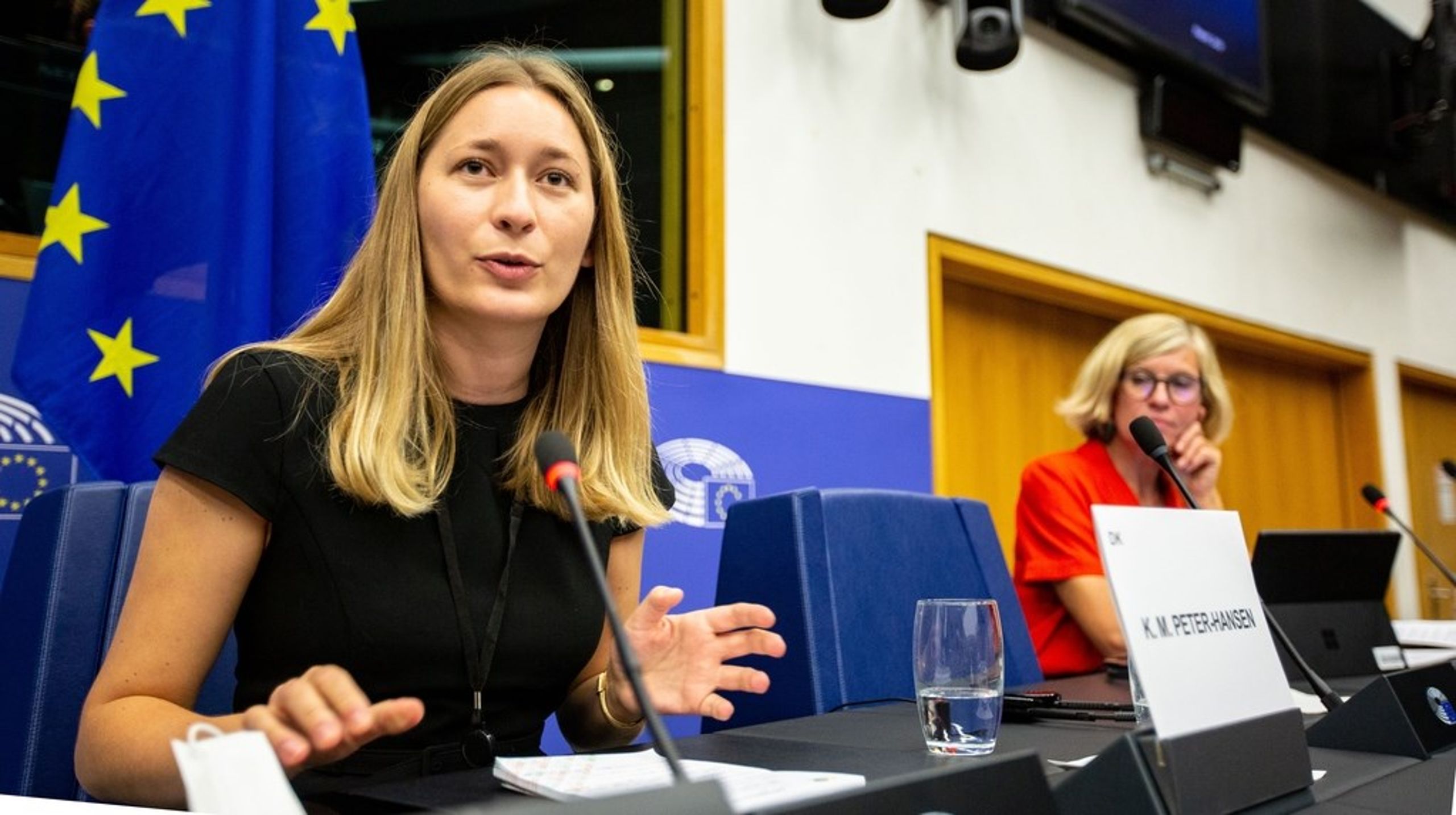SF'eren Kira Marie Peter-Hansen har forhandlet direktivet om løngennemsigtighed i Europa-Parlamentet. Parlamentet har torsdag sidste uge stemt om sin holdning og ændringsforslag, og nu går&nbsp;forhandlingerne om det endelige direktiv i gang med EU-Kommissionen og Rådet.