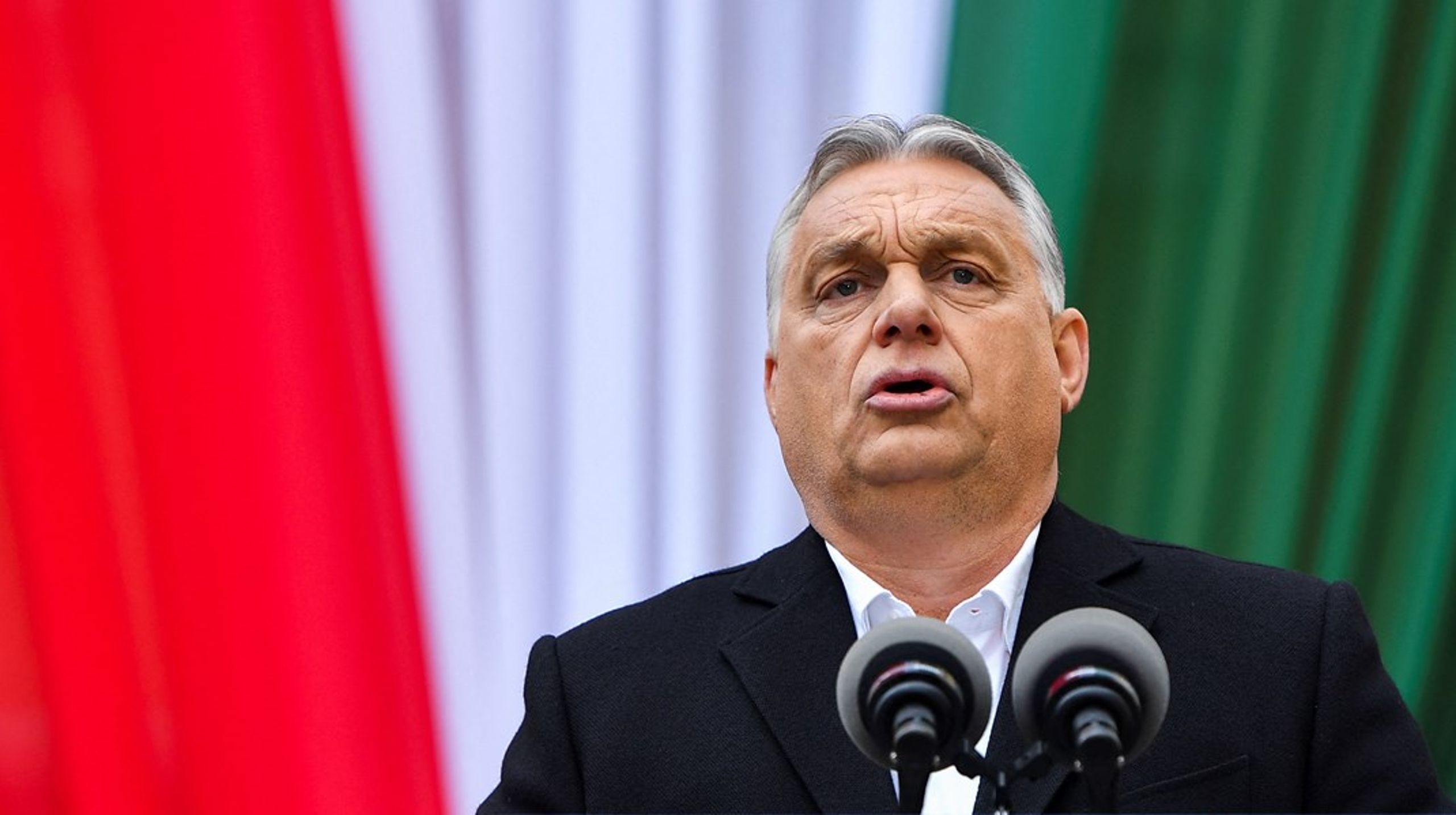 Viktor Orbáns fortælling om LGBT-personer er et forsøg på at skræmme og mobilisere konservative vælgere, siger Dávid Vig, direktør hos Amnesty Internation Ungarn