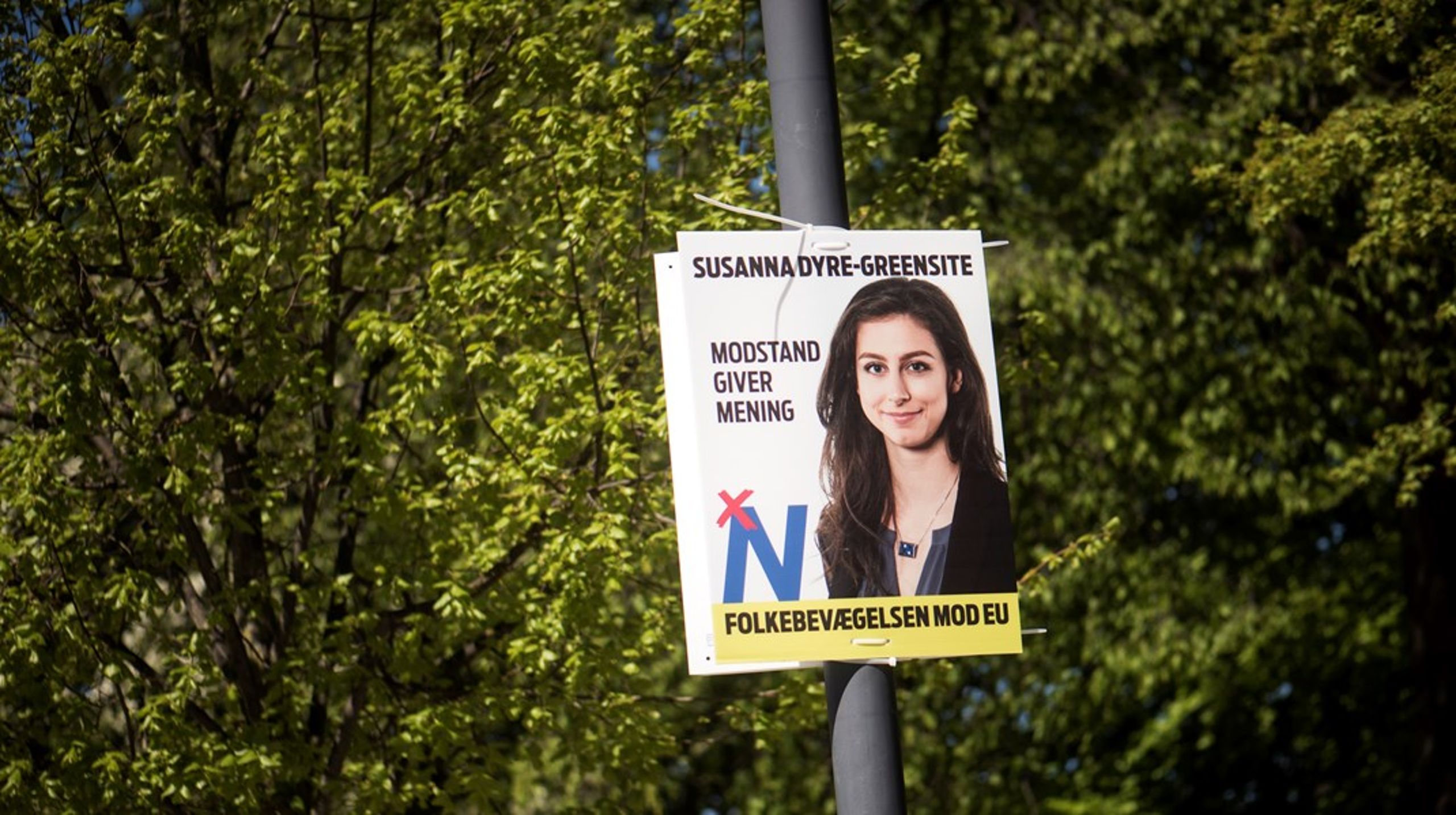 27-årige Susanna Dyre-Greensite blev valgt til formand for Folkebevægelsen mod EU i 2019. Dengang formåede bevægelsen ikke at opnå genvalg til Europa-Parlamentet. I 2024 forsøger den igen at opnå valg. Inden da kæmper den for, at danskerne stemmer nej 1. juni.