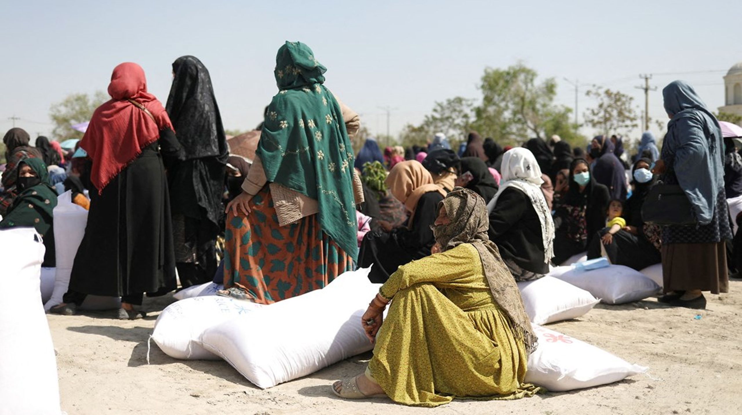 I Afghanistan er halvdelen af befolkningen – flere end 24 millioner mennesker – afhængige af humanitær hjælp for at kunne overleve, skriver Charlotte Slente. Arkivfoto.