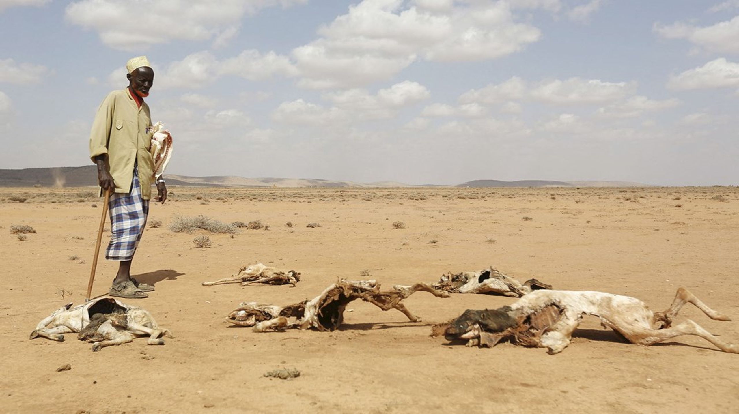 Millioner af mennesker på Afrikas Horn lider under den værste tørke i 40 år, og i Sydsudan er store områder oversvømmet,&nbsp;skriver&nbsp;Birgitte Qvist-Sørensen. Arkivfoto.