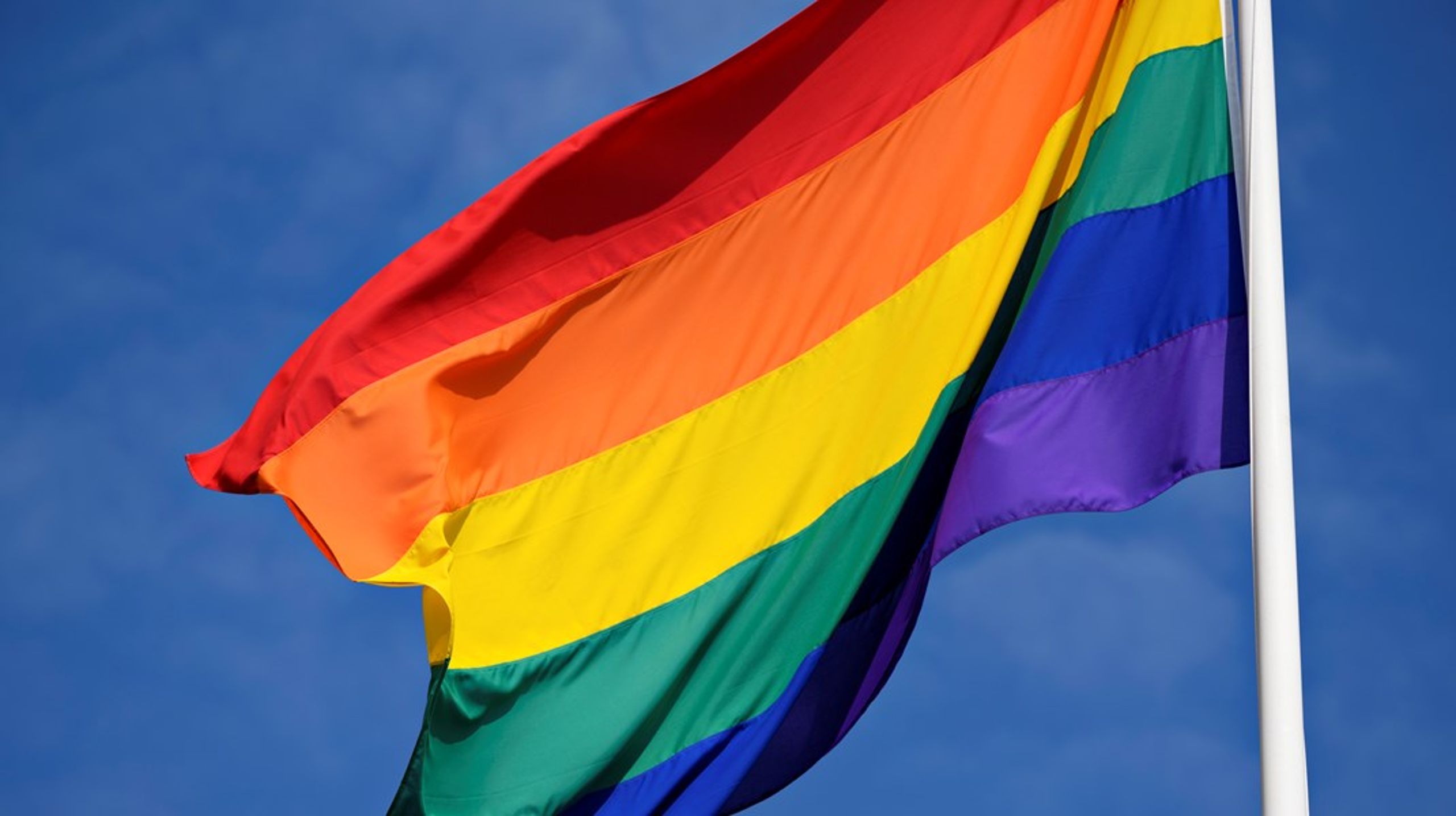 Under priden i København uddeler LGBT+ Danmark hvert år 'Årets Laks', som dette år går til Søren Juliussen og de andre medstillere bag forslaget om medfaderskab i regnbuefamilier.