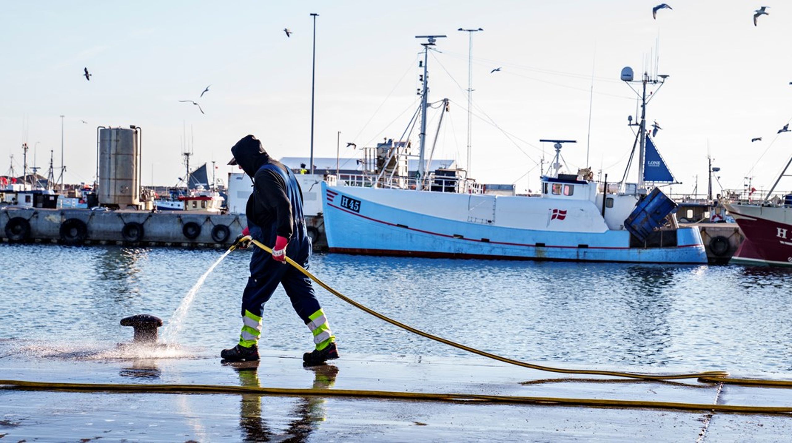 Fiskerne er stærkt bekymrede for rød bloks planer om et forbud mod trawlfiskeri i Bælthavet.