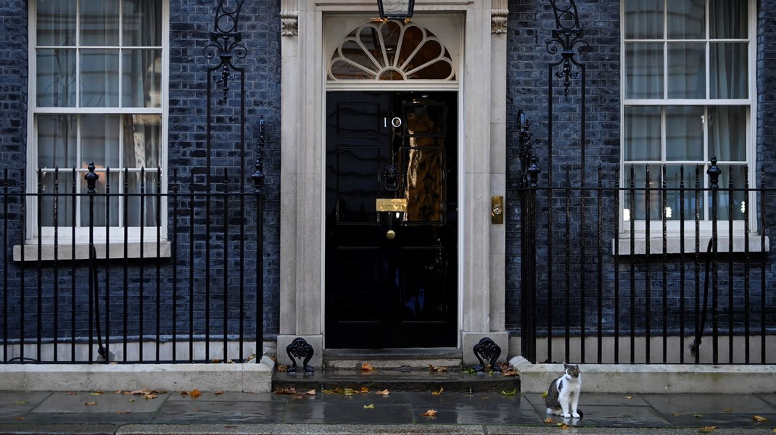 Inden ugen er omme, ved vi, hvem der skal passe på katten Larry i Downing Street 10.