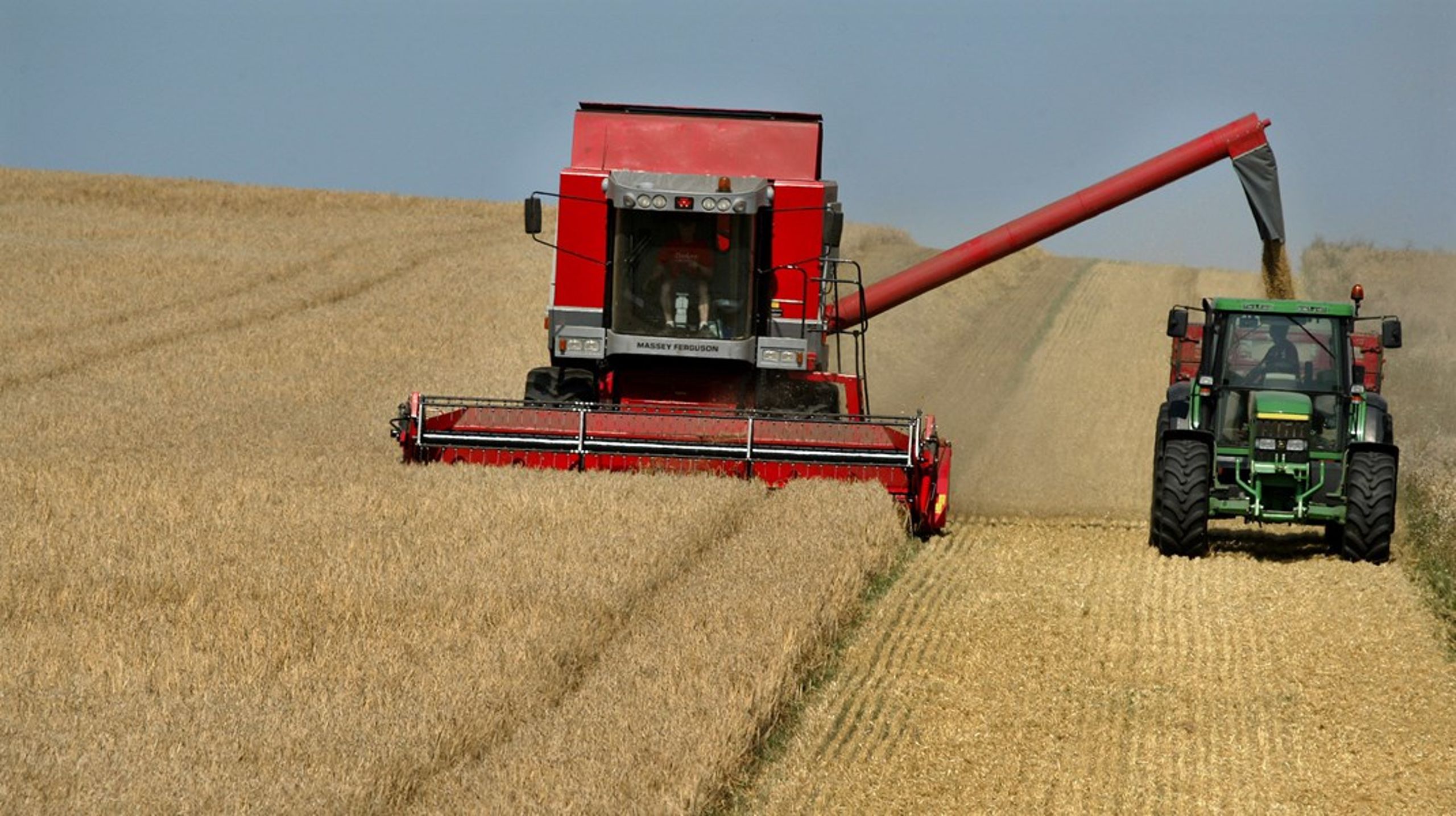 Konsulenthuset McKinseys scenarie for verden i 2023 er, at det underskud af hvede og majs til verden bliver fordoblet næste år. Det svarer til at der ikke kommer mad på verdensmarkedet til cirka 250 millioner mennesker.
