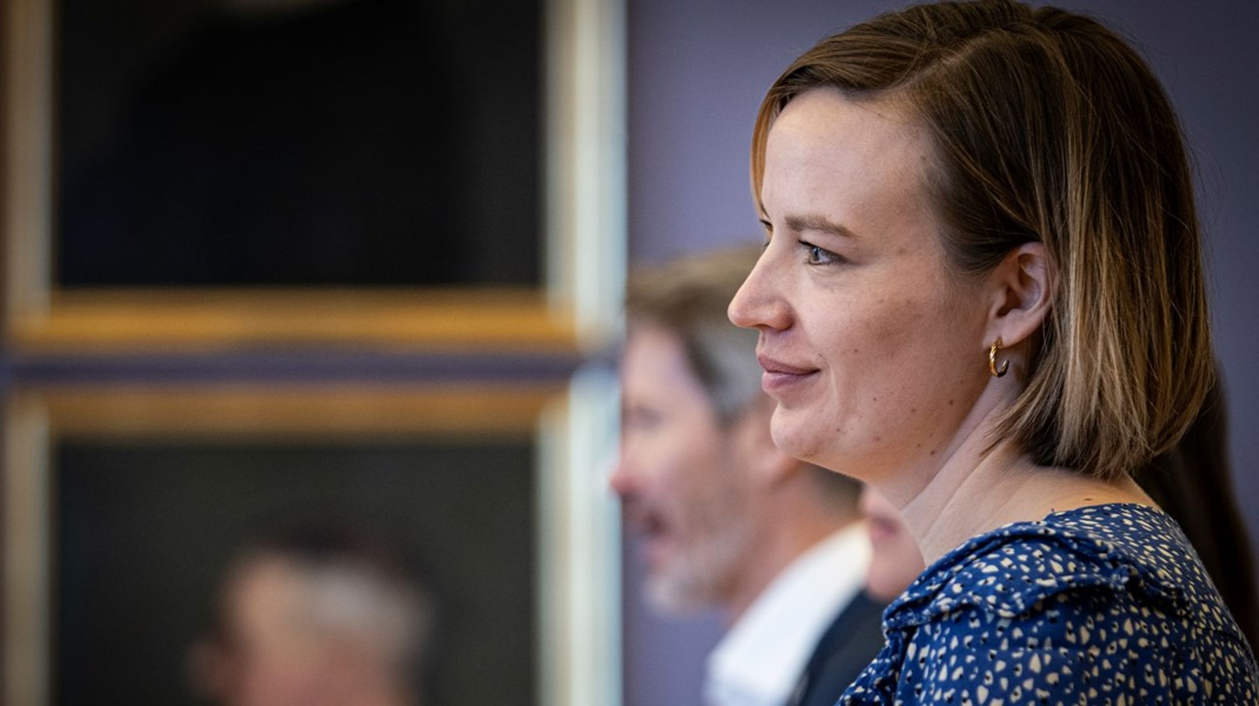 Danske HF &amp; VUC's nye chefkonsulent&nbsp;Anne Sofie Callesen er forhenværende&nbsp;folketingsmedlem og ungdomsuddannelsesordfører for Radikale.