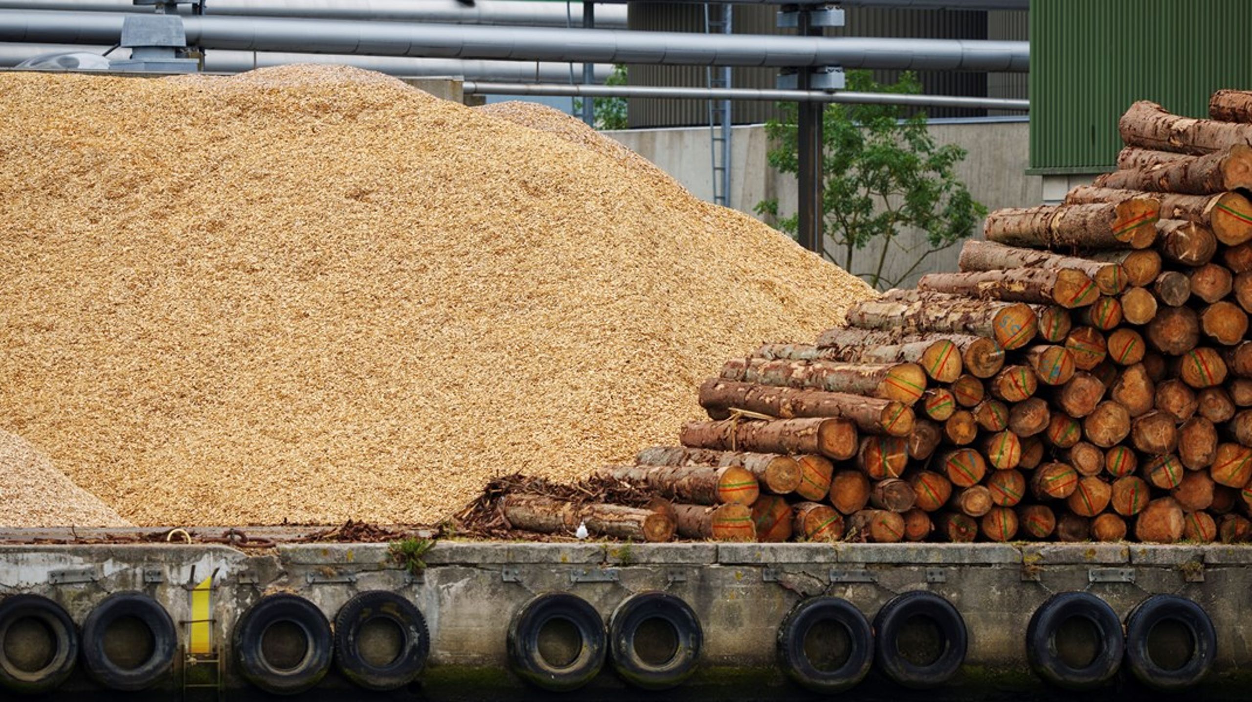 CO2-udledningerne fra afbrænding af biomasse, som eksempelvis træ og træflis, er ikke-eksisterende i udledningsstatistikkerne. Men det skal de, hvis vi skal reagere på klimakrisen, skriver Caroline Bessermann.<br>