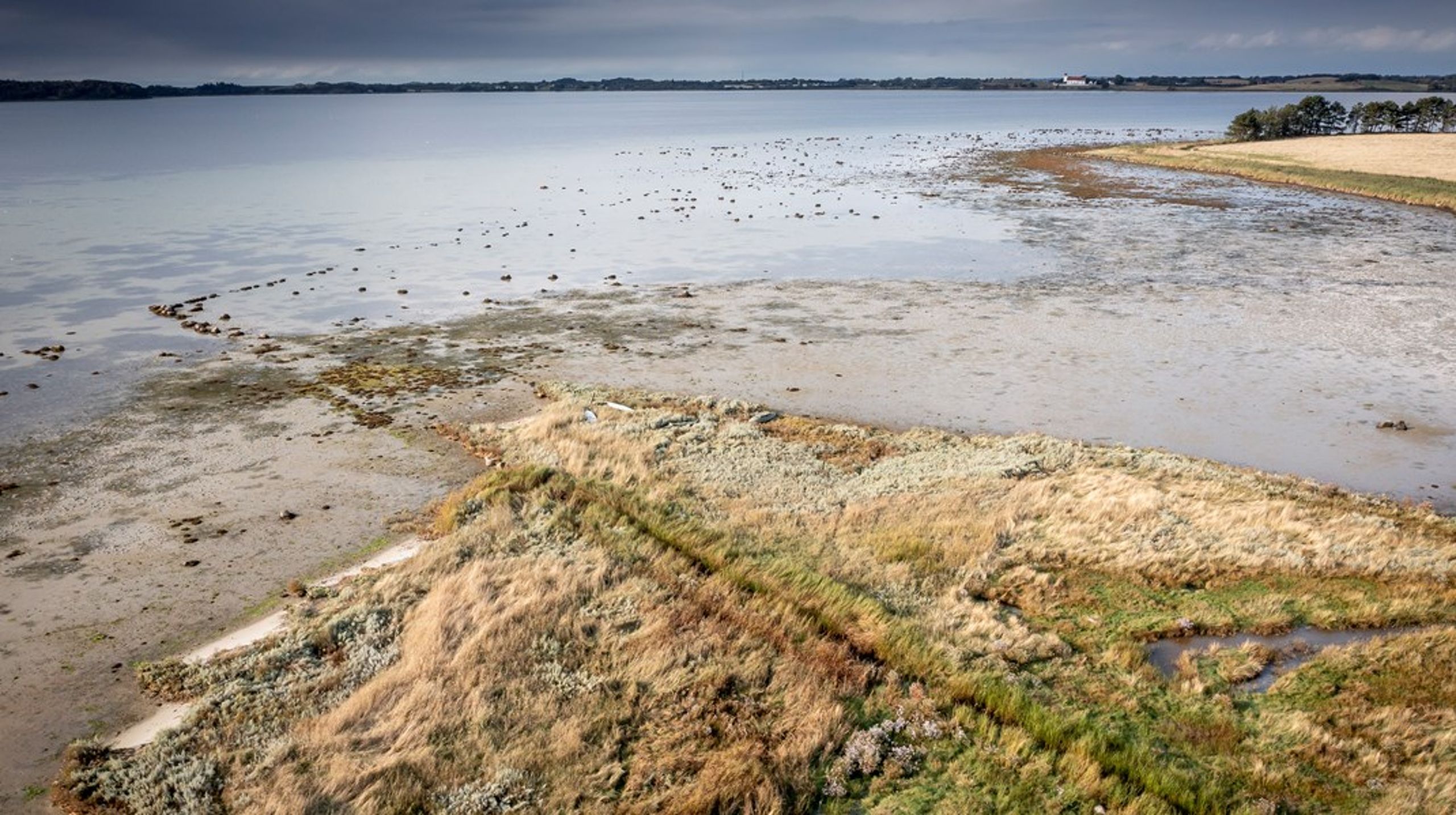 Danmark har noget af det reneste vand i hanerne, men flere og flere uønskede stoffer bliver fundet i grundvandet, og dem skal vi bekæmpe, hvis vi skal bevare den enestående kvalitet, skriver Henrik Garver.