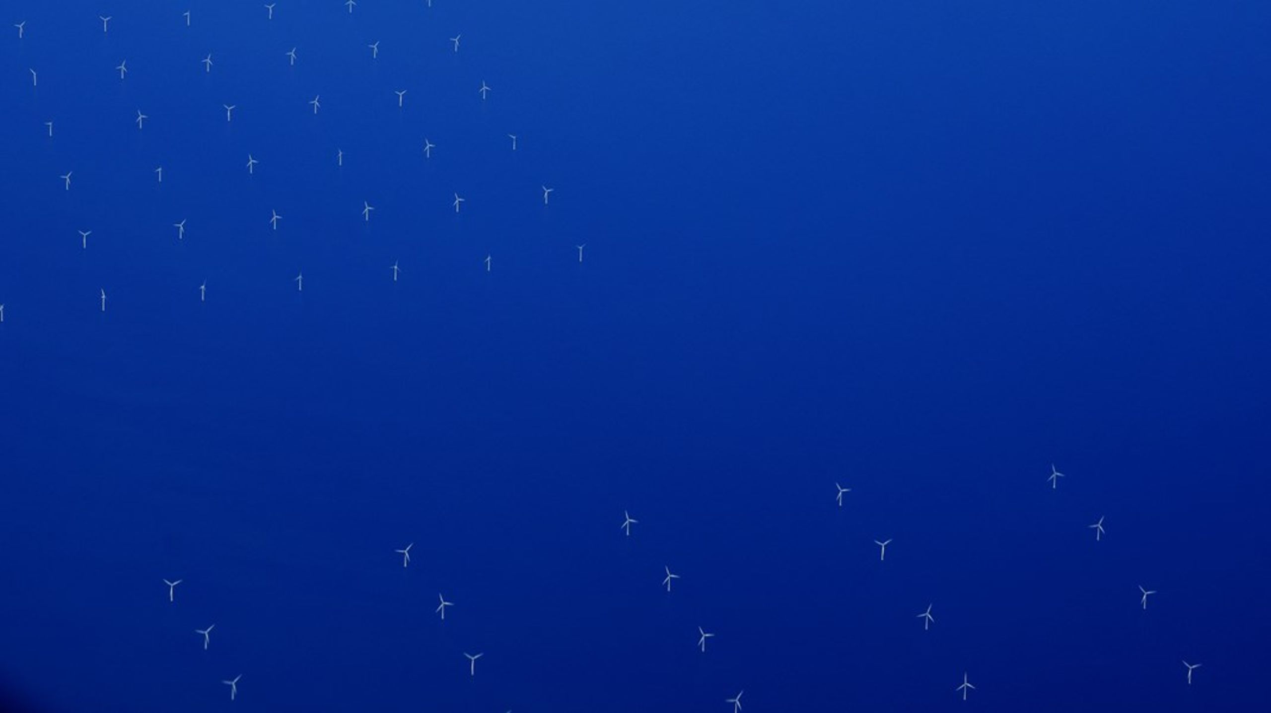 Danmark forventes at udrulle store mængder vindmøller på havet over de kommende årtier.&nbsp;